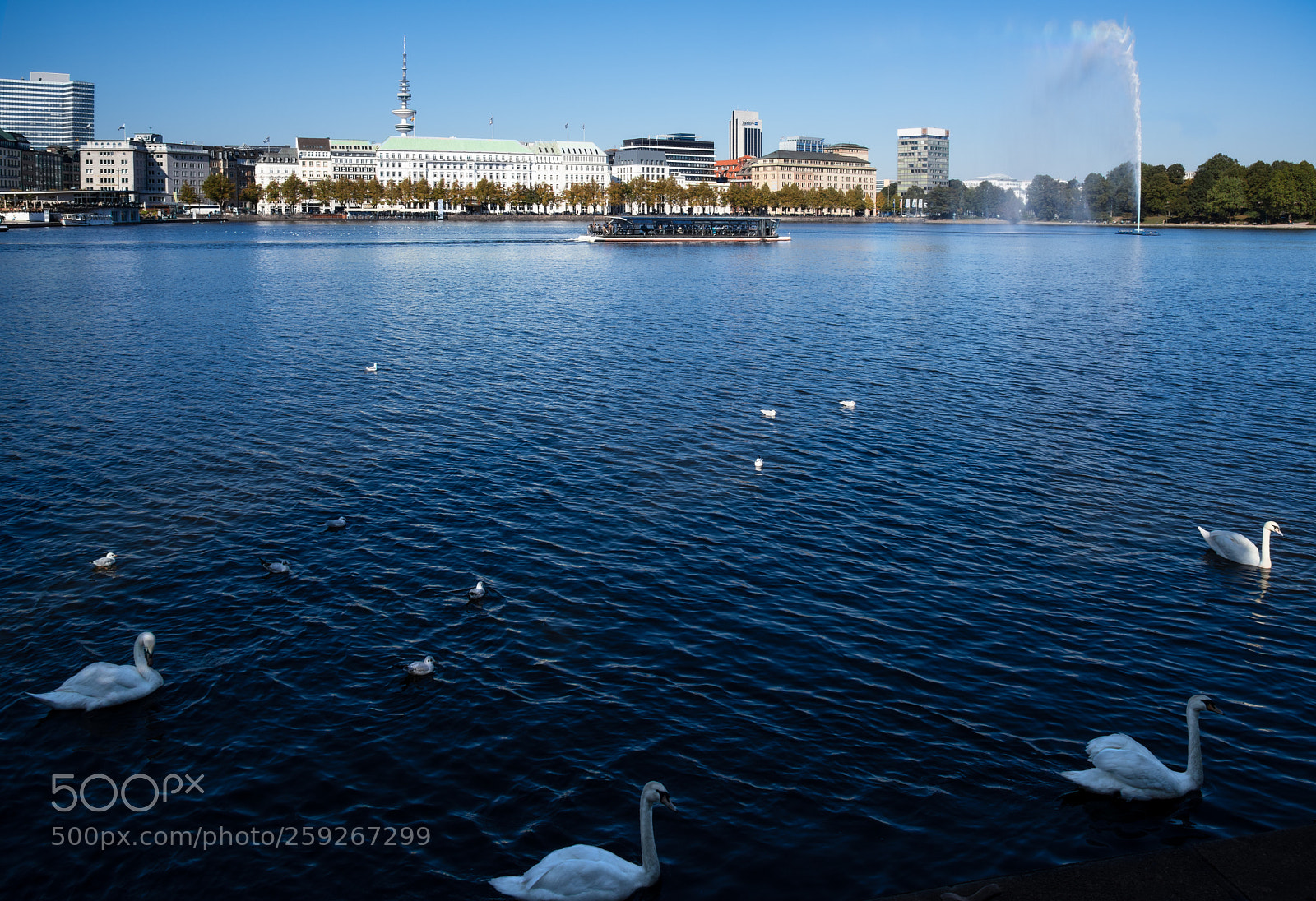 Nikon D810 sample photo. Hamburg assenalster photography