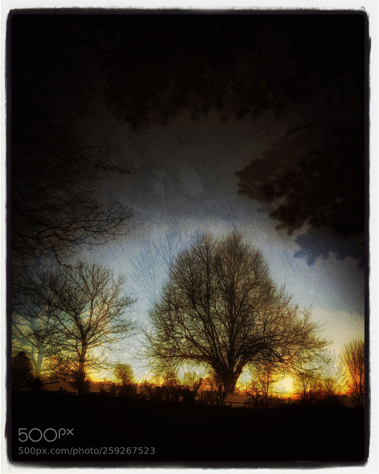 Apple iPhone 6 sample photo. "burning down the house"... photography