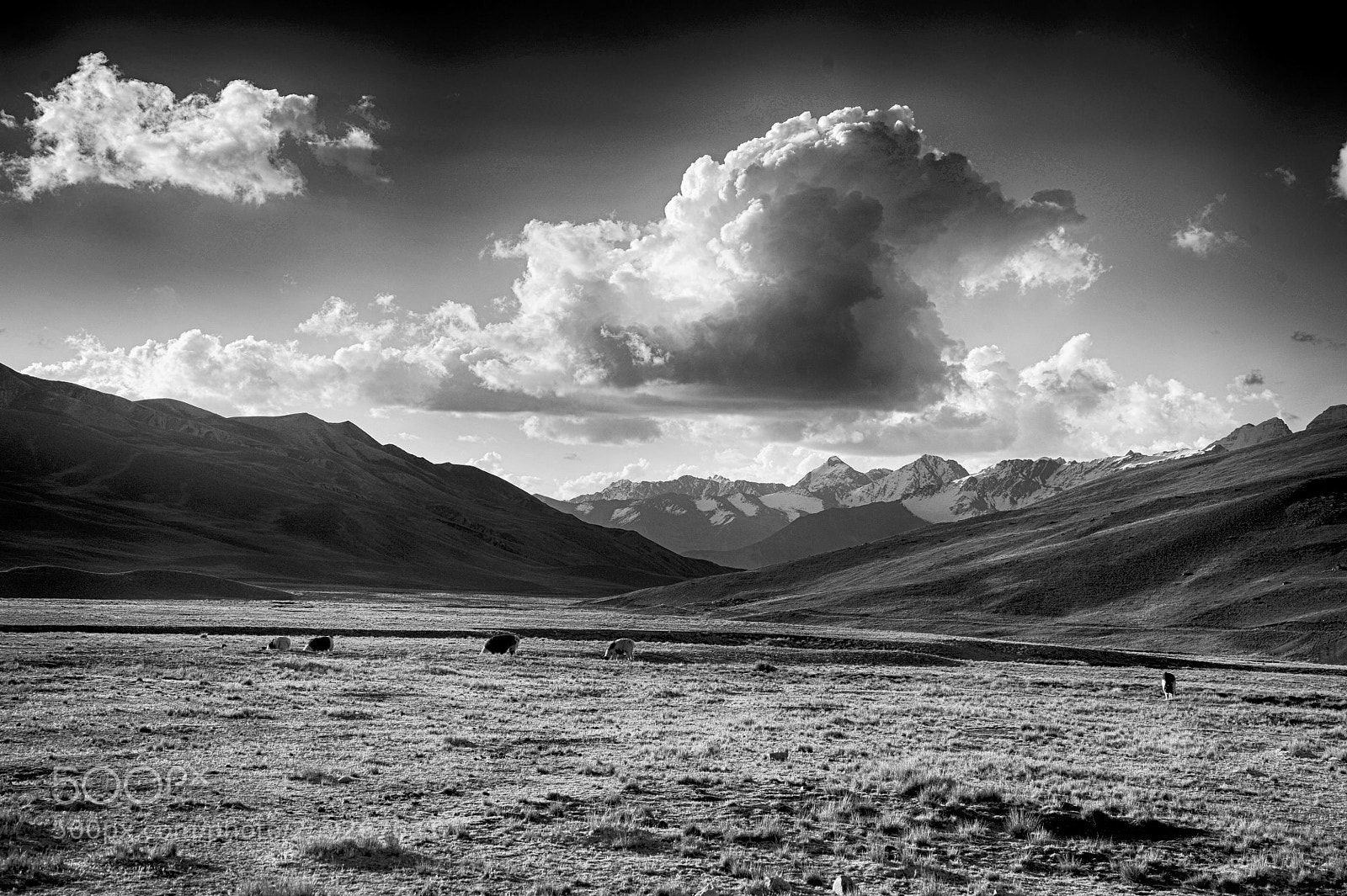 Nikon D700 sample photo. Bolivie altiplano photography