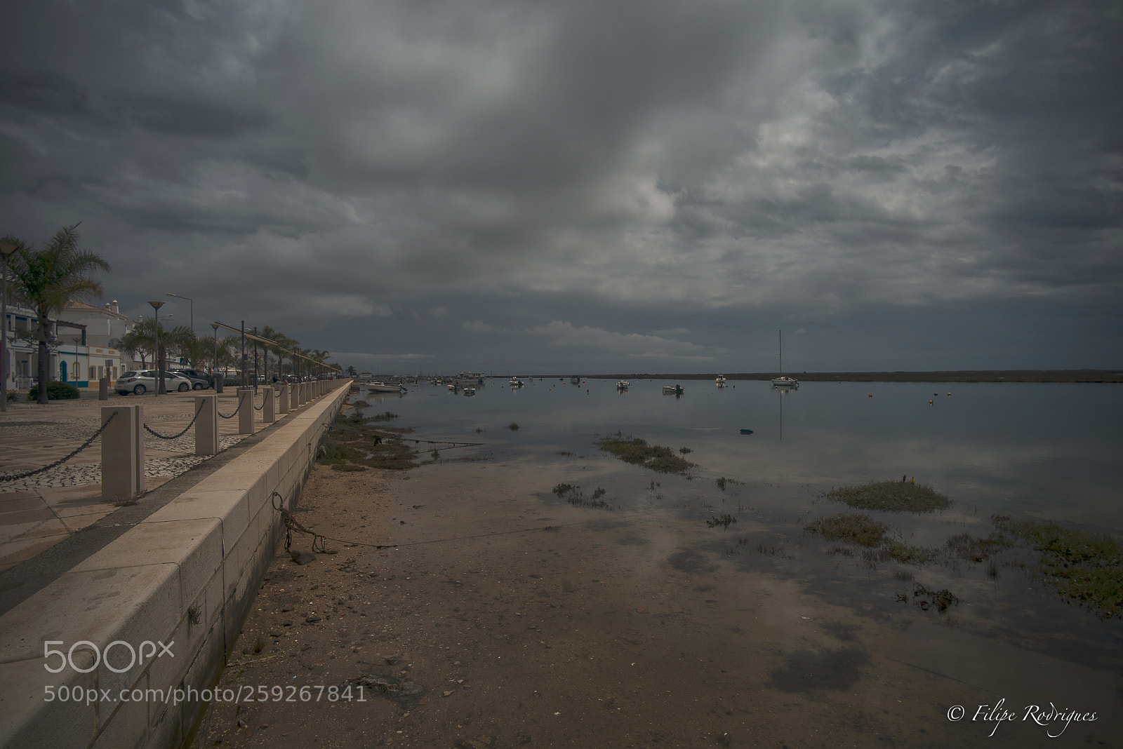 Nikon D800E sample photo. Tide is lowering photography