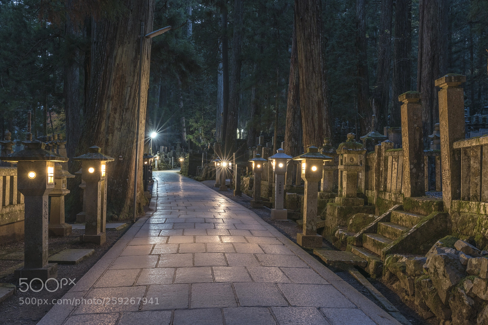 Nikon D810 sample photo. Mount koya okunoin photography