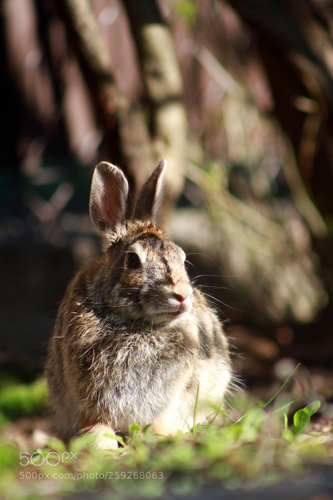 Canon EOS 7D sample photo. New friend in the photography