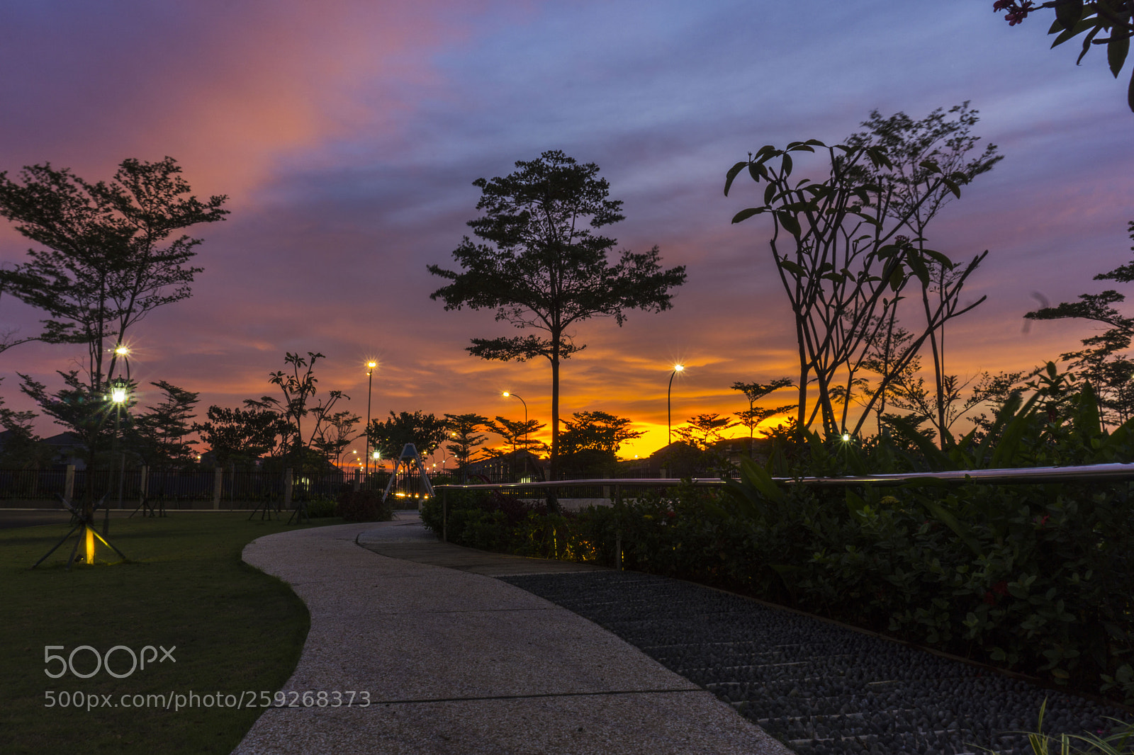 Sony a6000 sample photo. Sunset at thames park photography