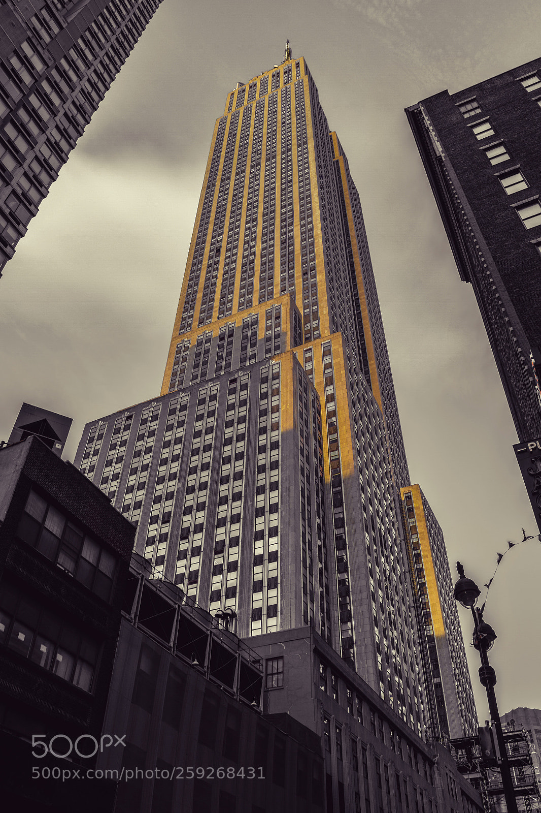 Nikon D5300 sample photo. Looking at the sky photography