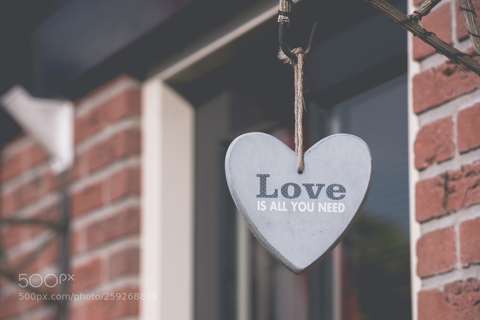 Nikon D810 sample photo. Decorative heart hanging on photography
