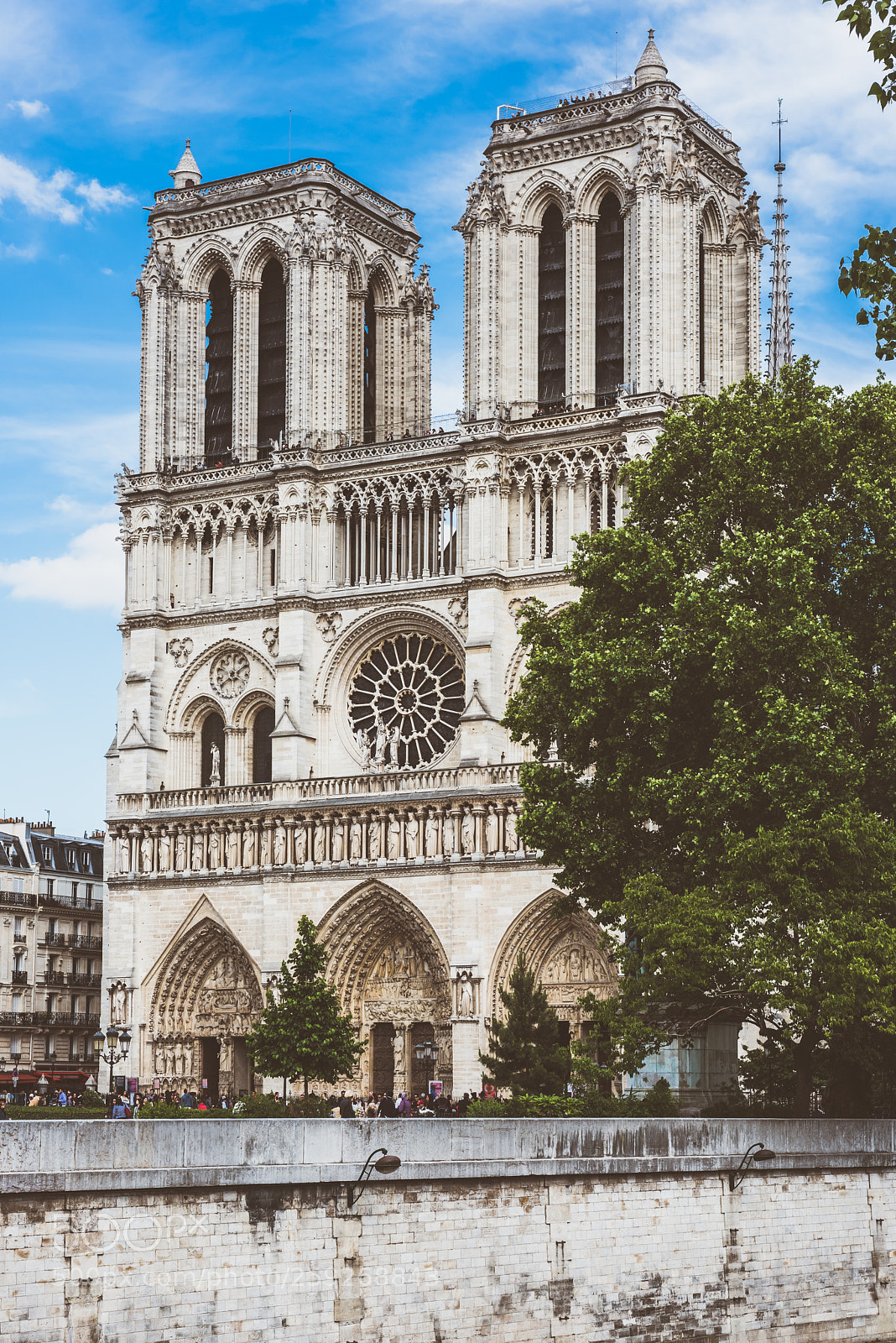 Nikon D810 sample photo. Cathedral of notre dame photography