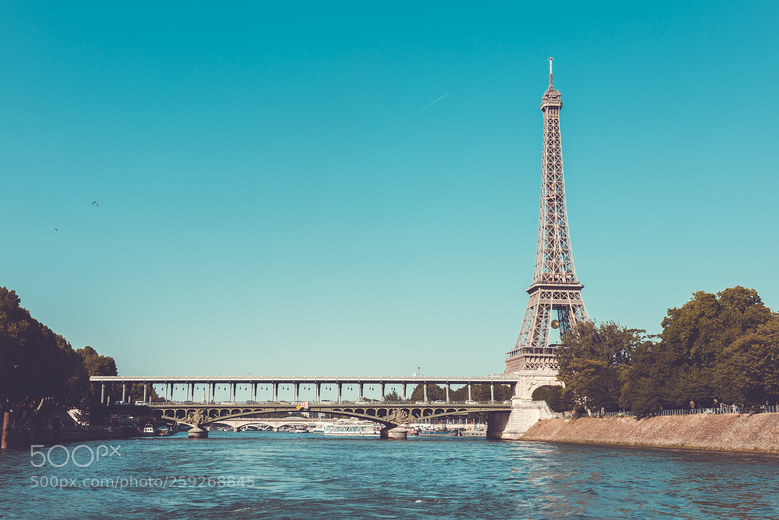 Nikon D810 sample photo. The eiffel tower and photography