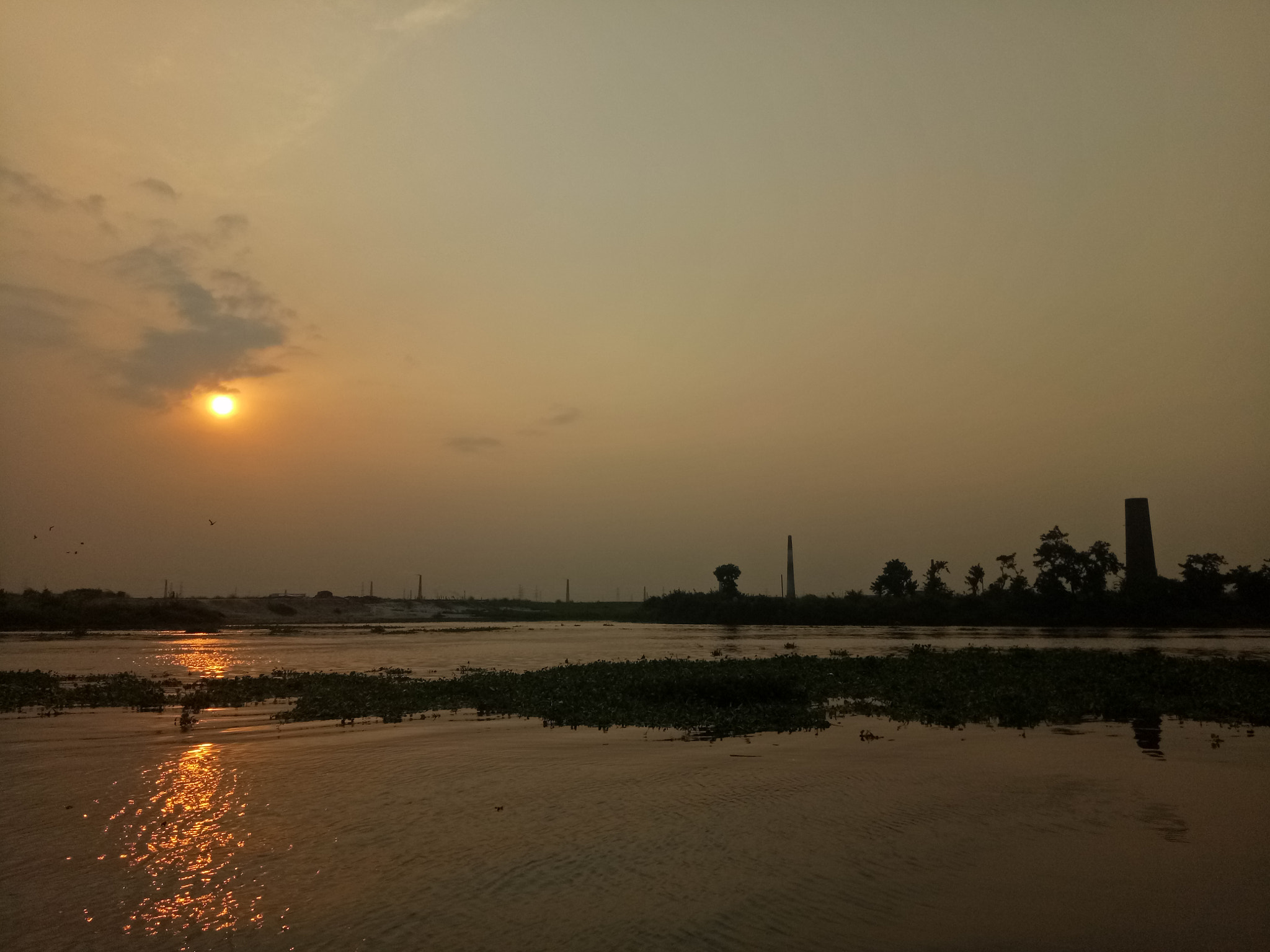 OPPO A1601 sample photo