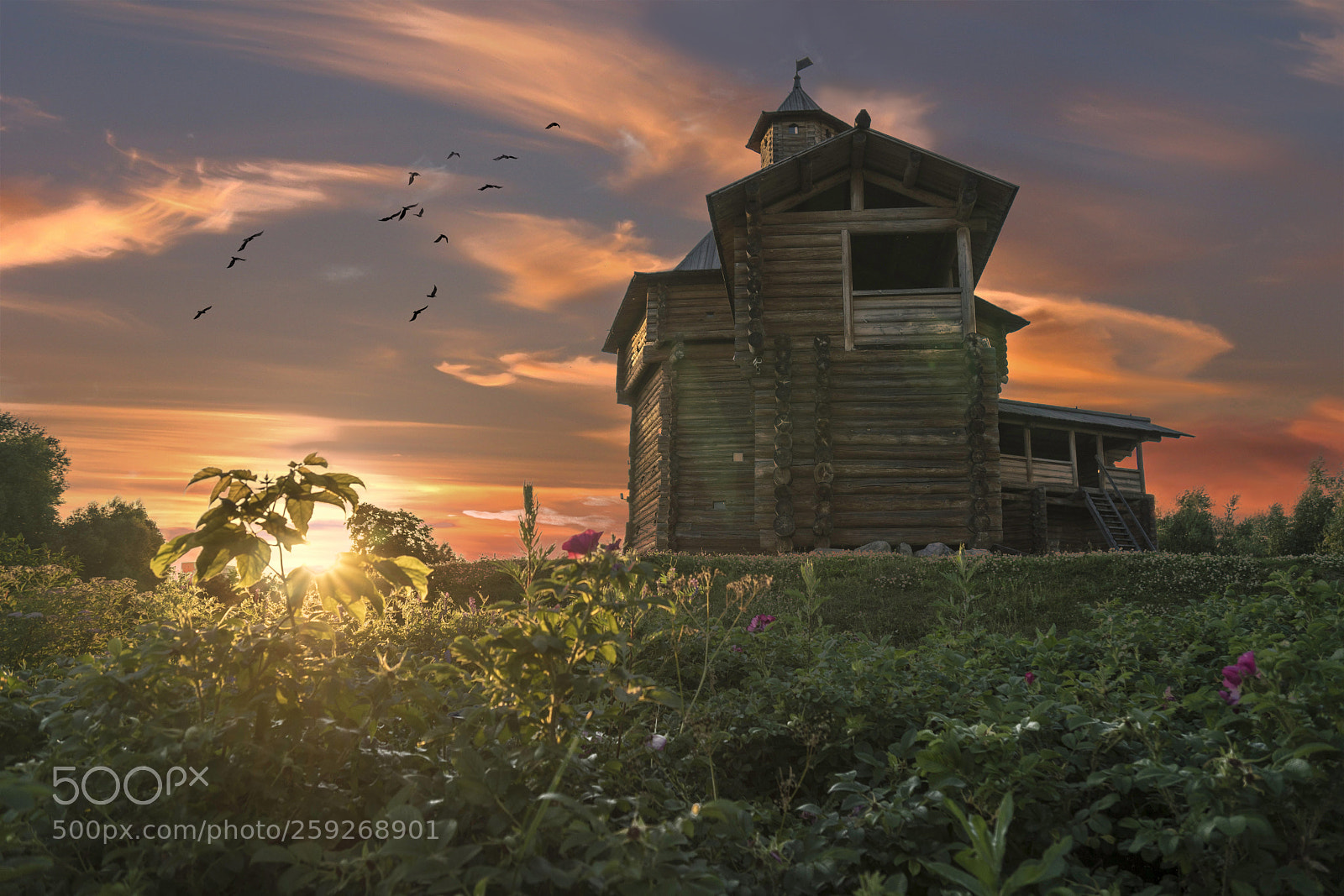 Sony a6300 sample photo. Kolomenskoye photography
