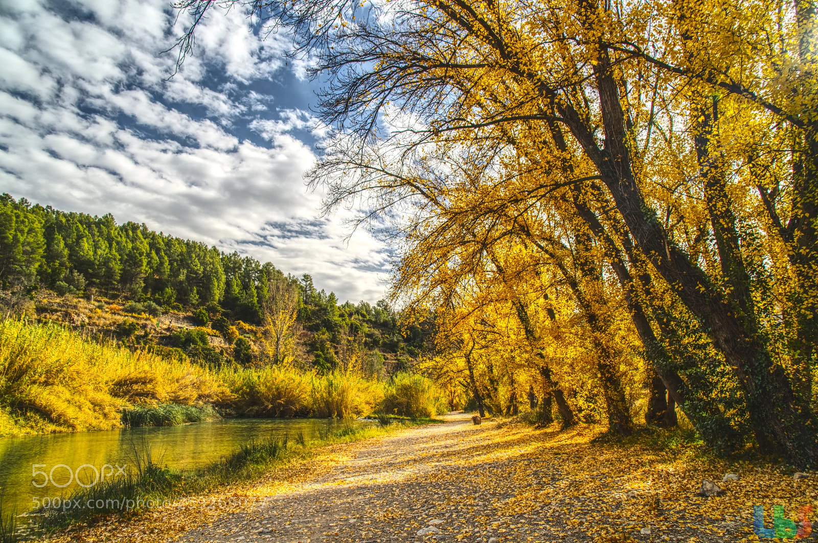 Sony a6500 sample photo. Autumnriver photography