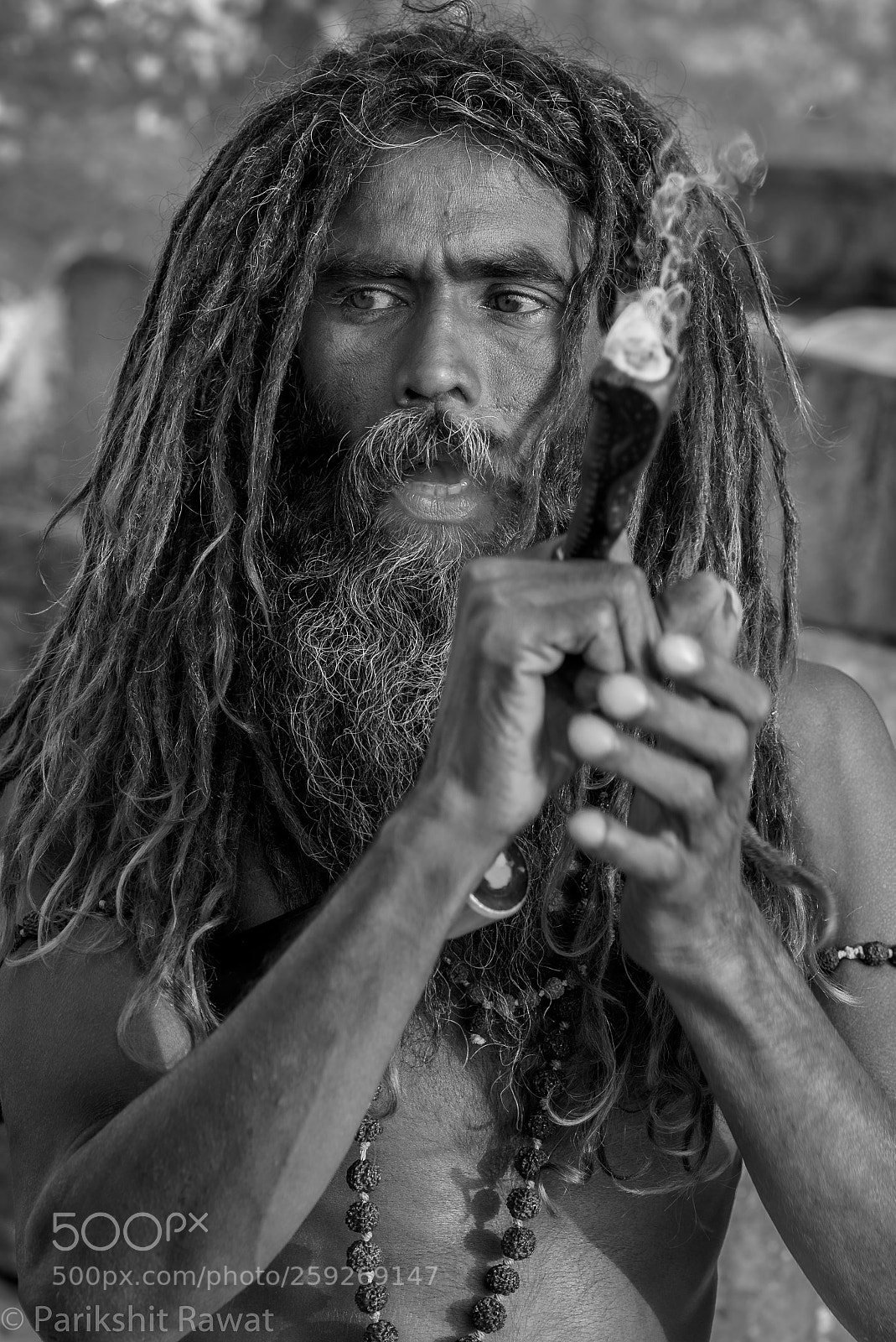 Nikon D750 sample photo. Holy smoke photography