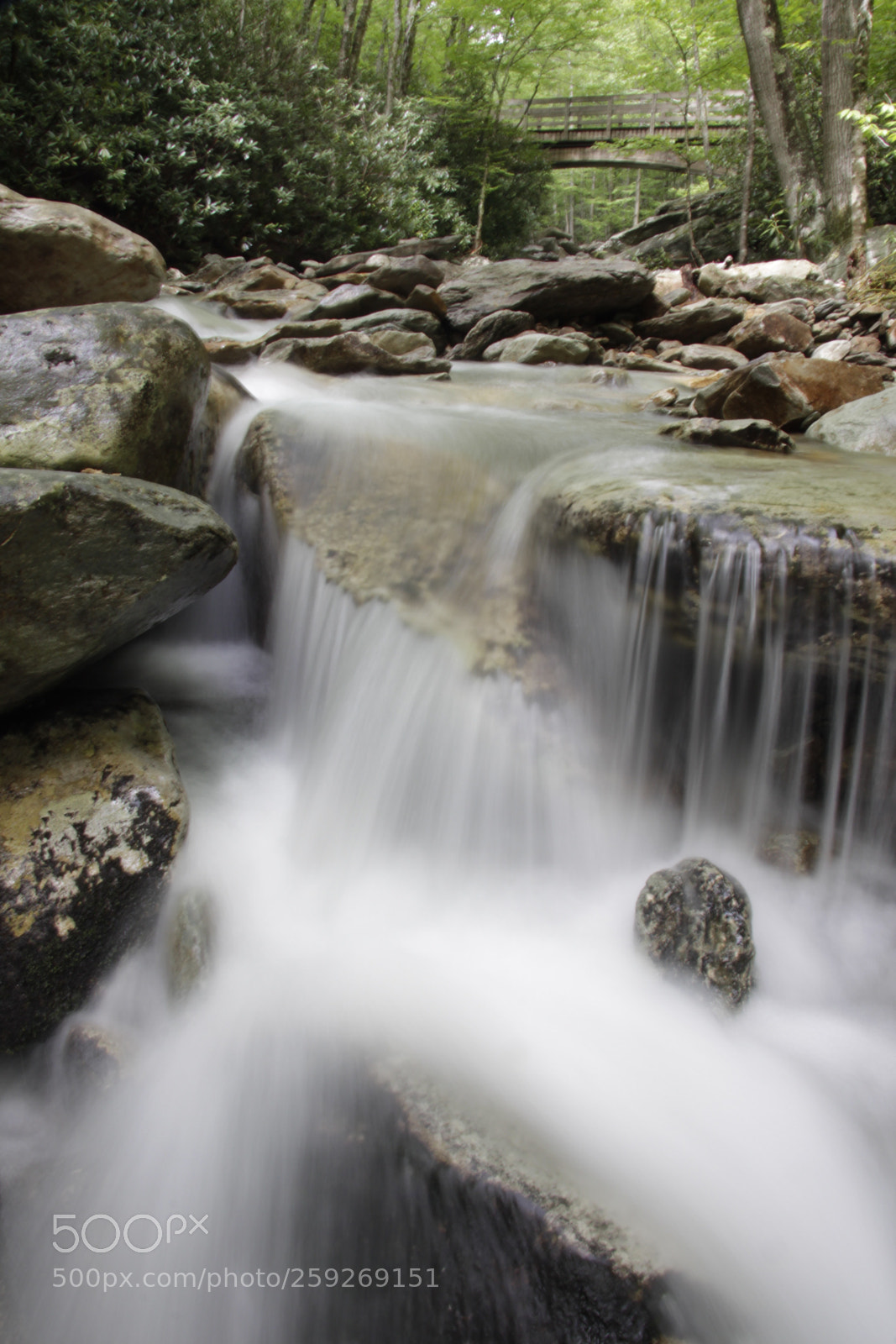 Canon EOS 50D sample photo. Untitled photography