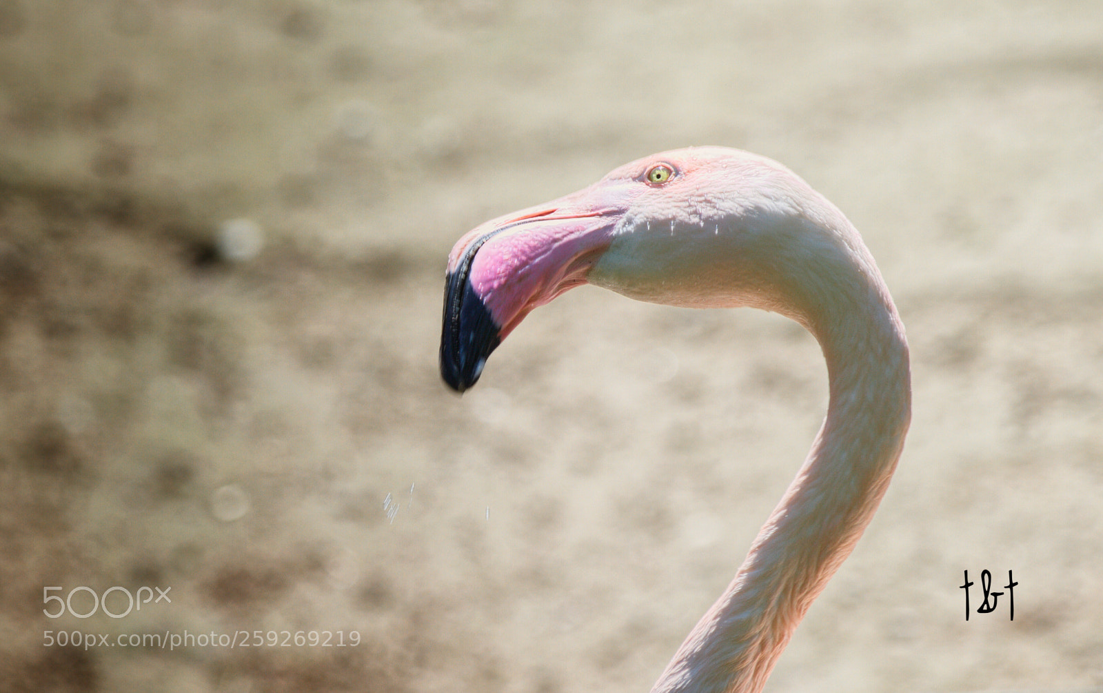 Canon EOS 7D sample photo. Untitled photography
