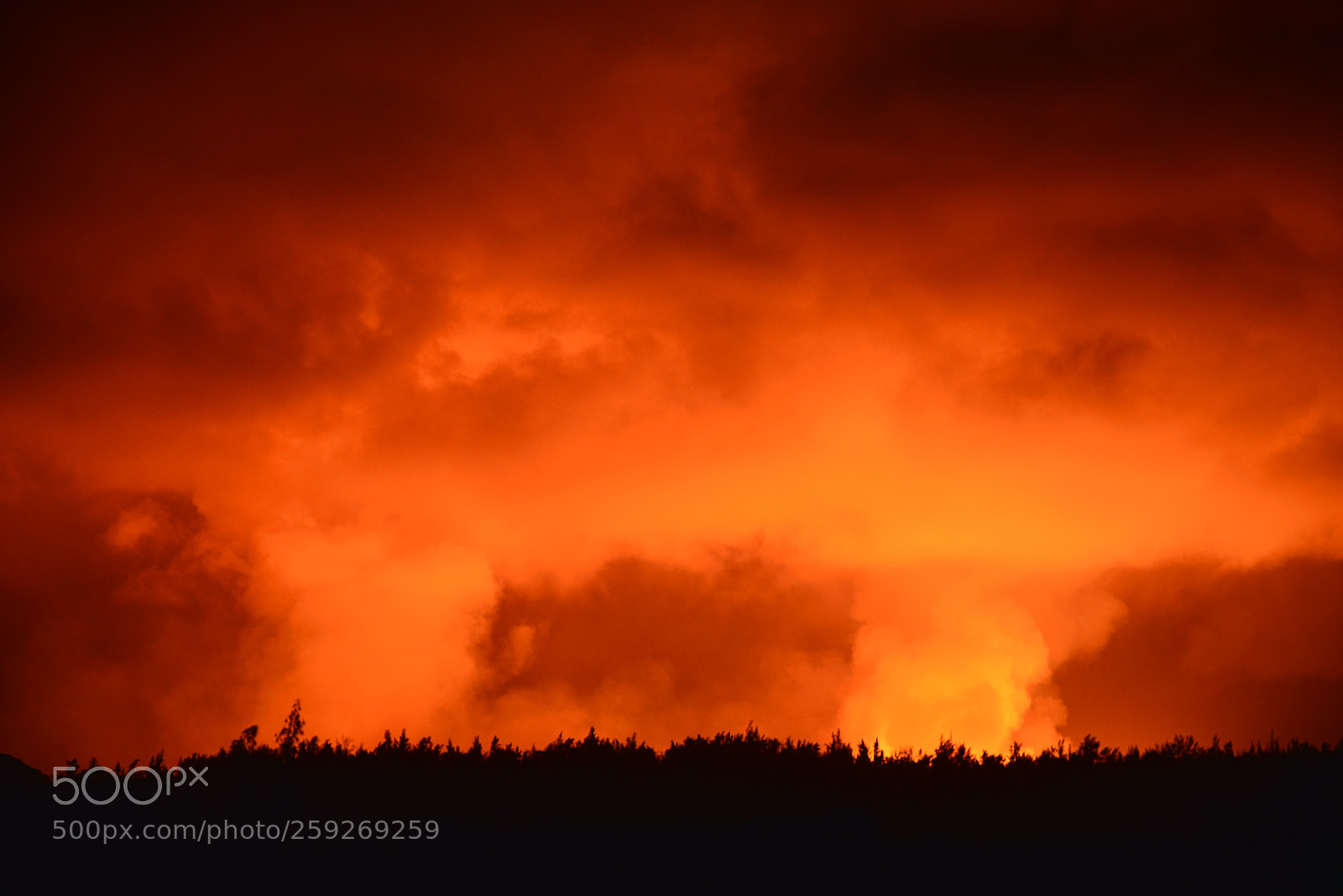 Nikon D610 sample photo. Hawaii burning -- leilani photography