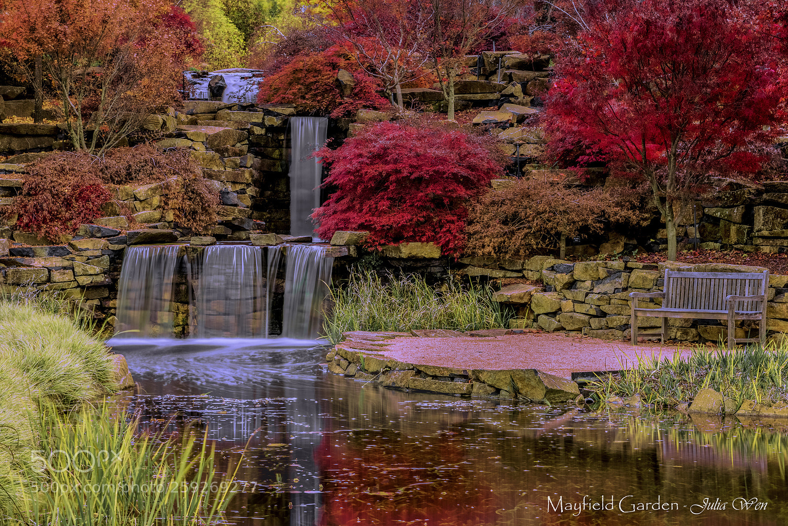 Nikon D850 sample photo. Autumn photography