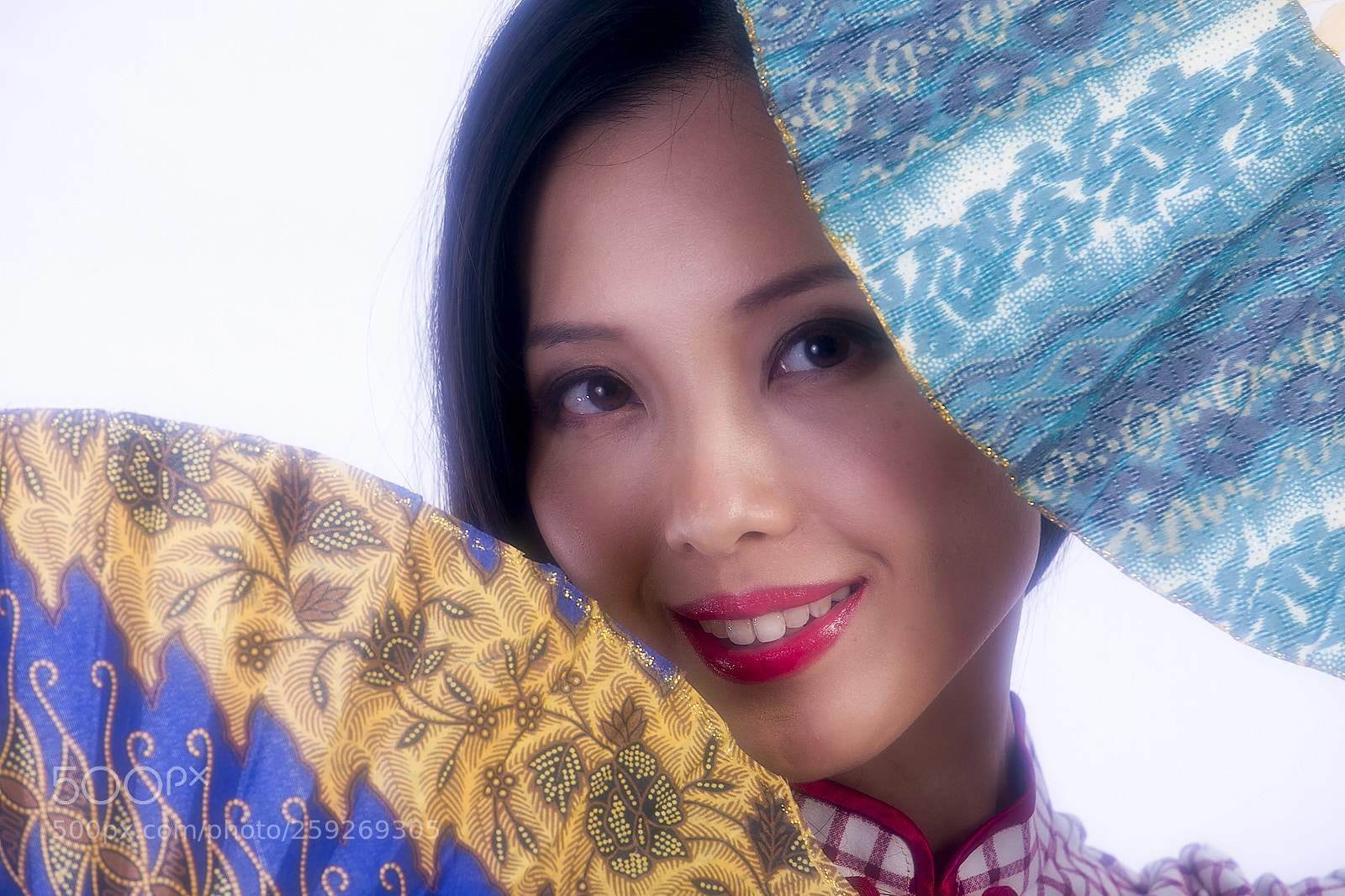 Canon EOS 6D sample photo. Framed by the fans photography