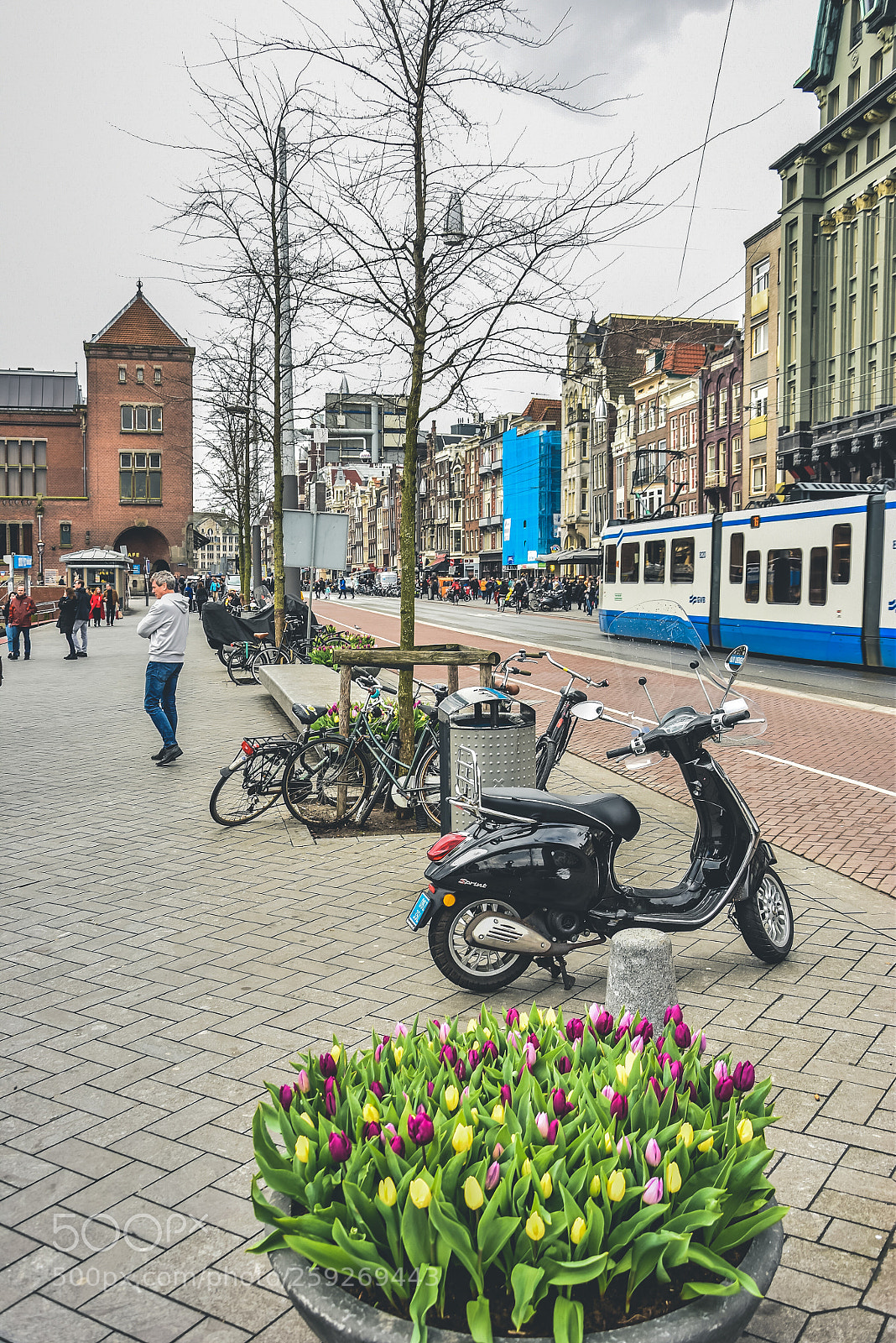 Nikon D5500 sample photo. Amasterdam tulips photography