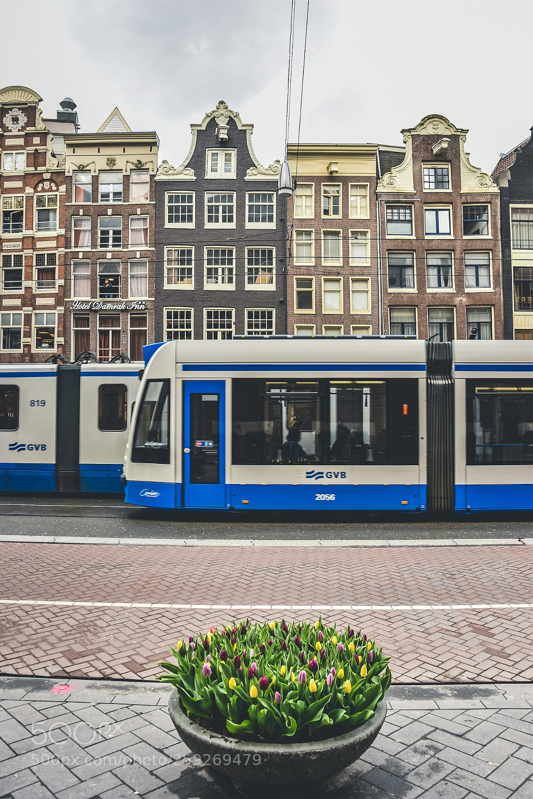 Nikon D5500 sample photo. Amasterdam tulips photography