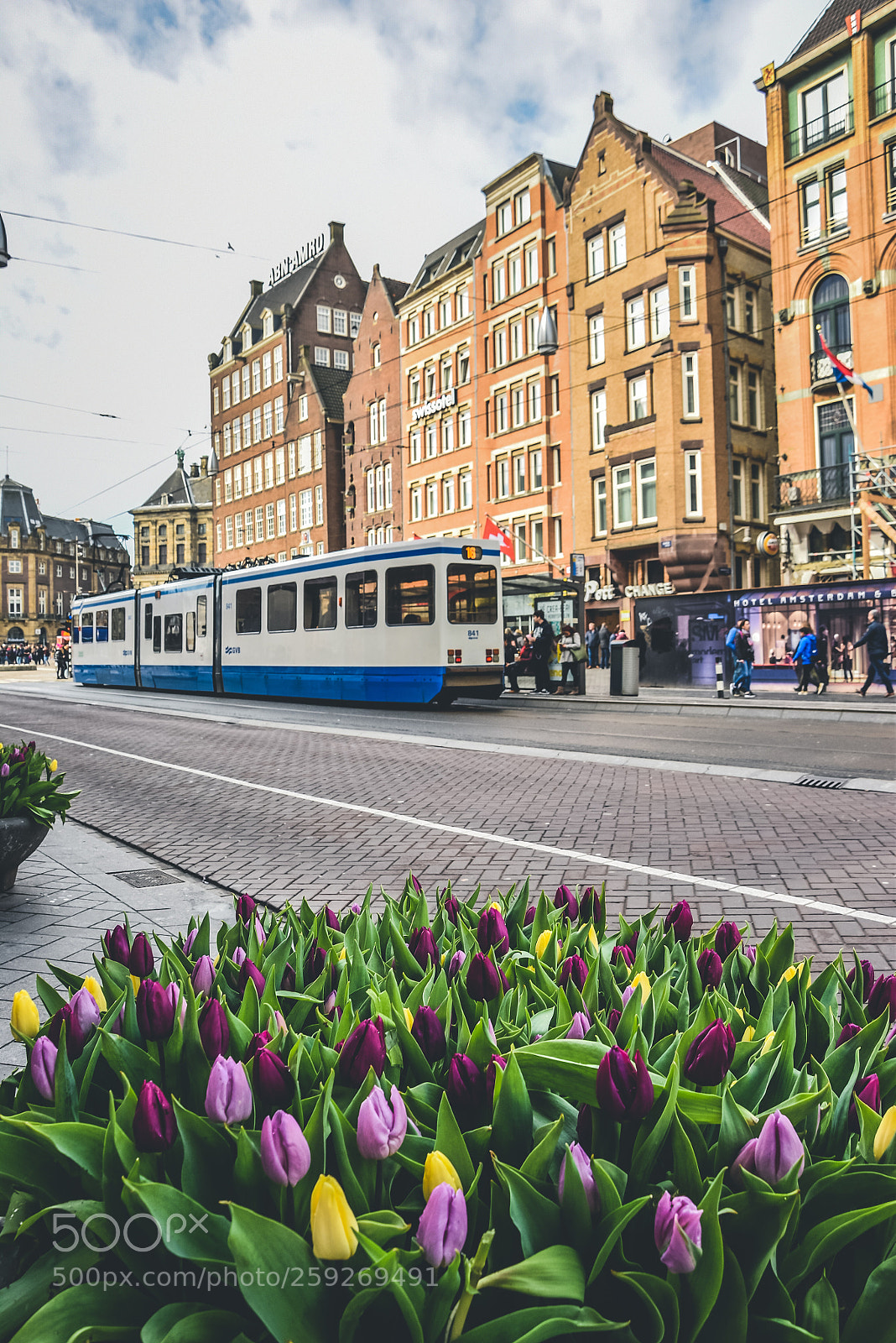 Nikon D5500 sample photo. Amasterdam tulips photography