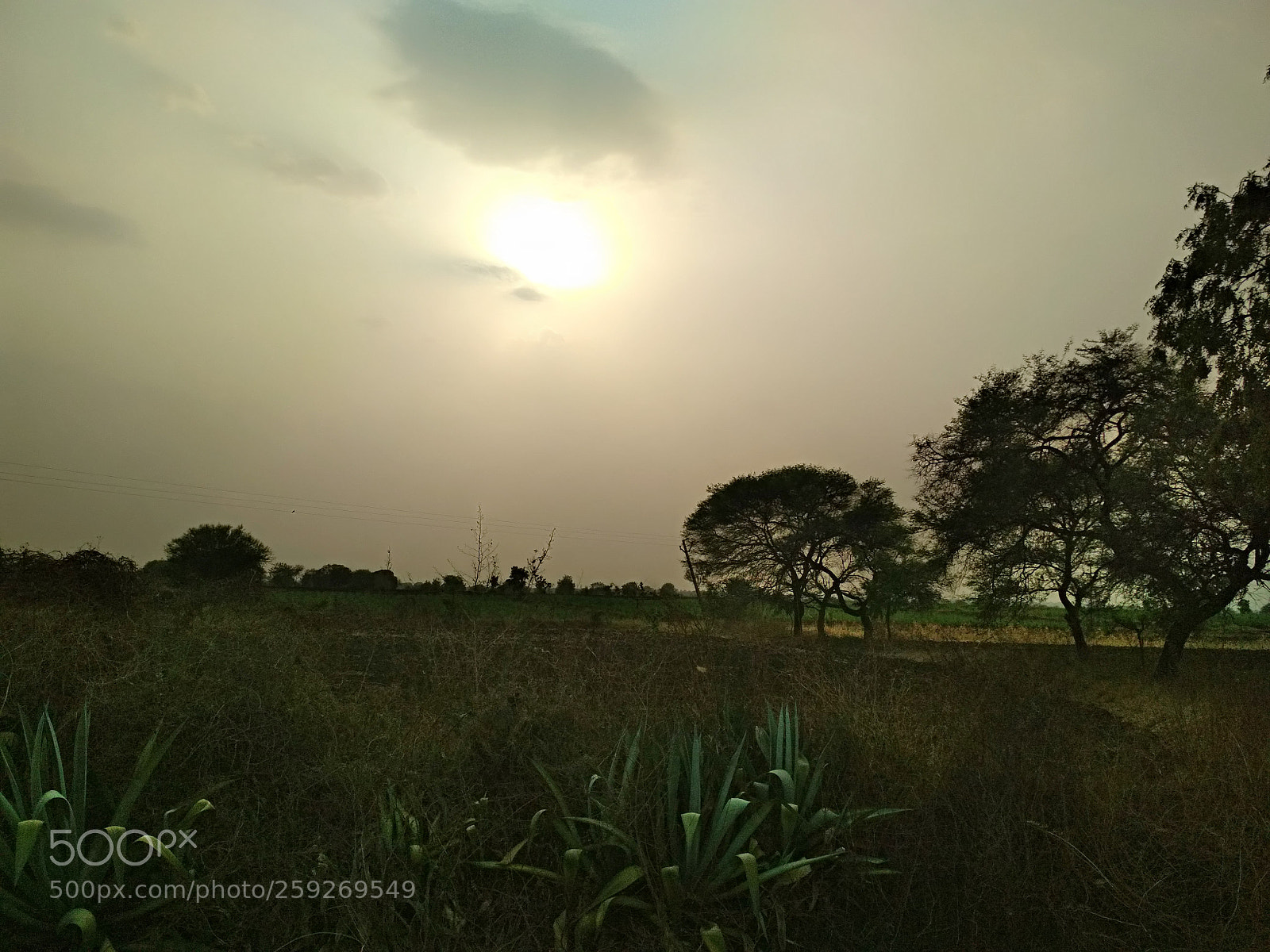Xiaomi Redmi 4 Pro sample photo. Untitled photography