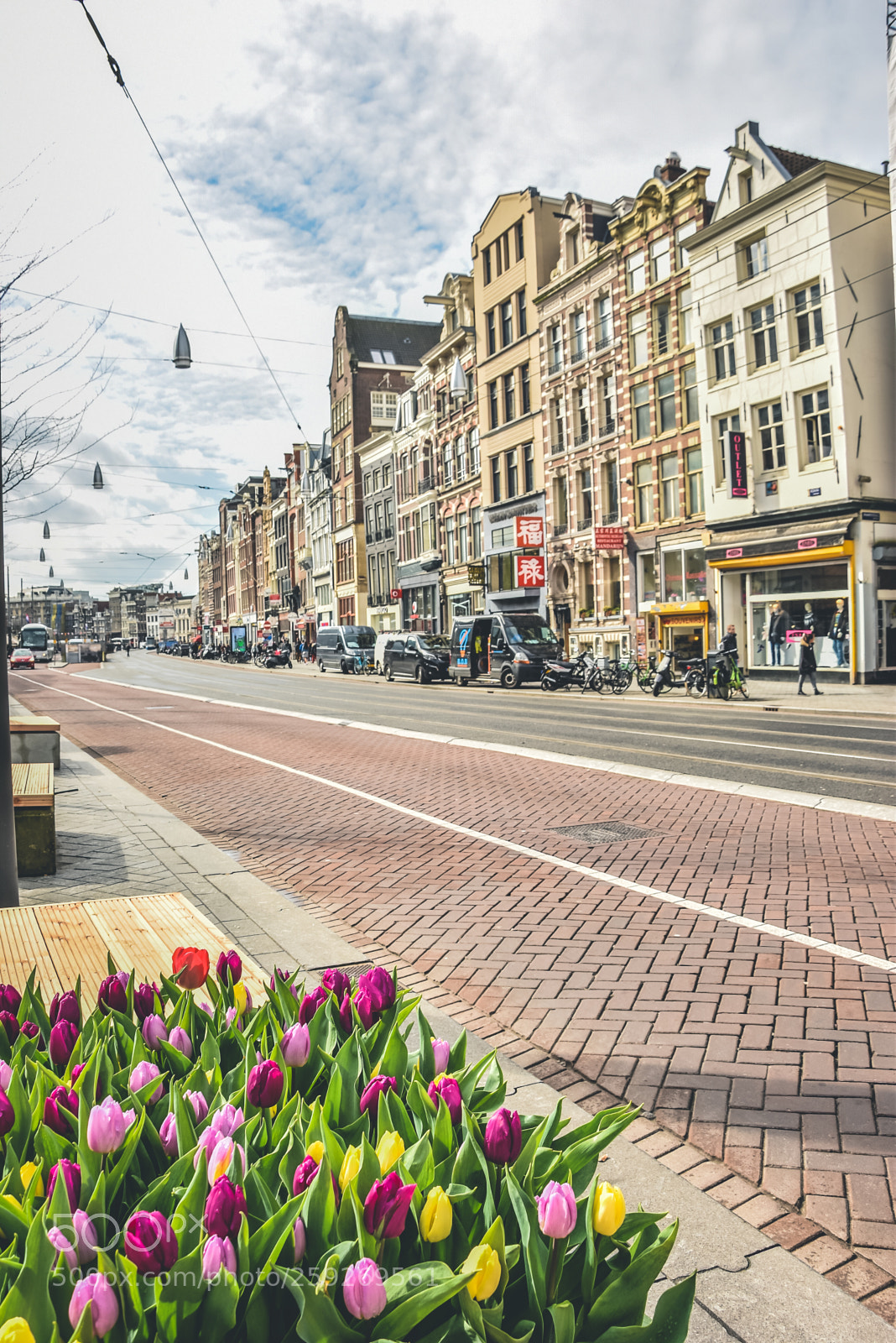 Nikon D5500 sample photo. Amasterdam tulips photography
