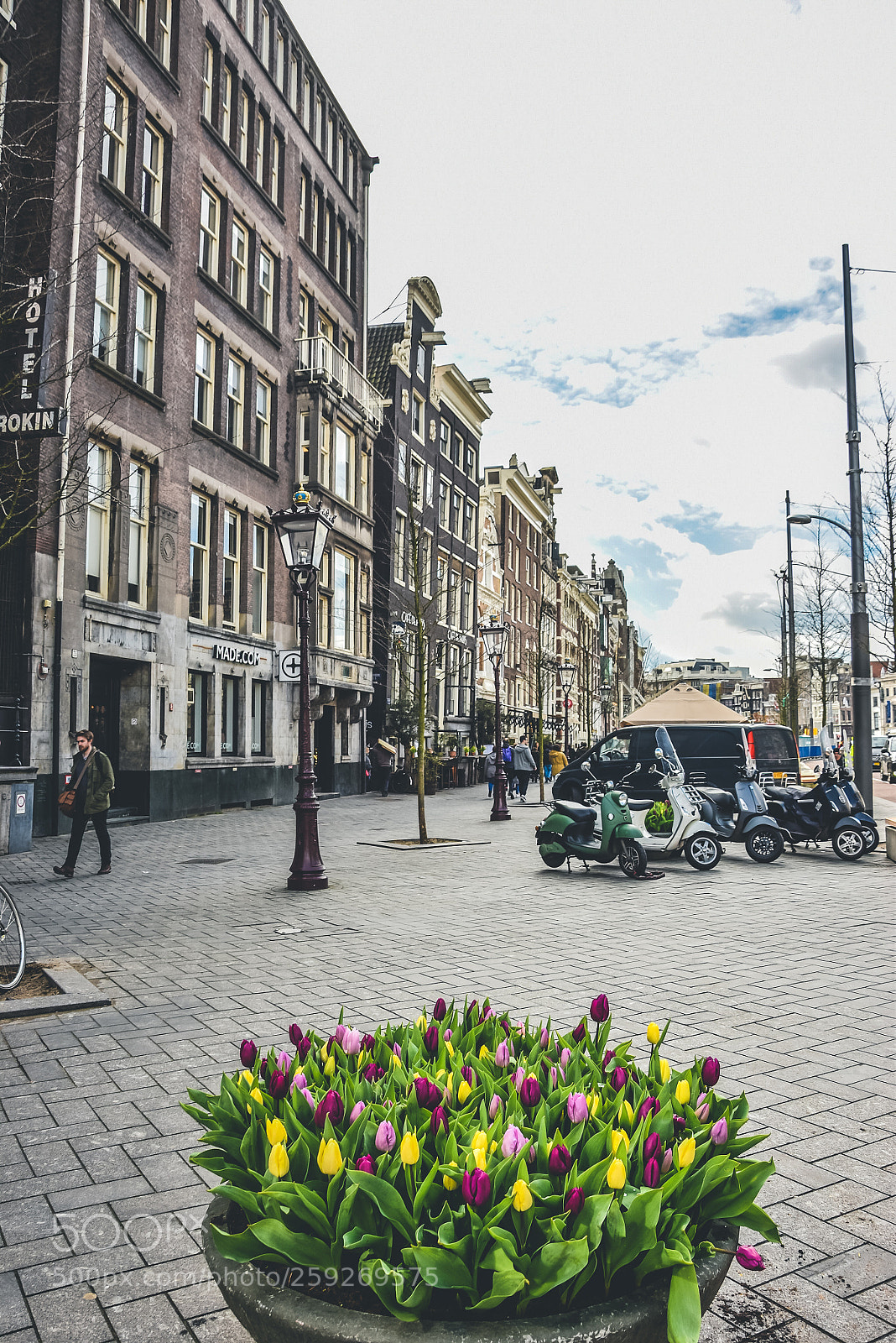 Nikon D5500 sample photo. Amasterdam tulips photography