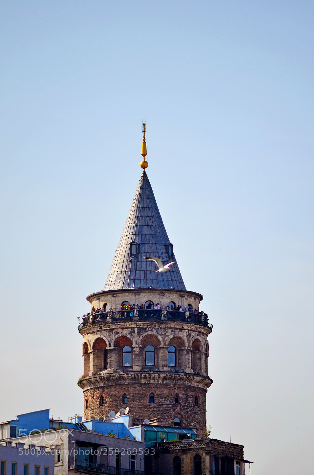 Nikon D5100 sample photo. Hayal gibi bir ya photography