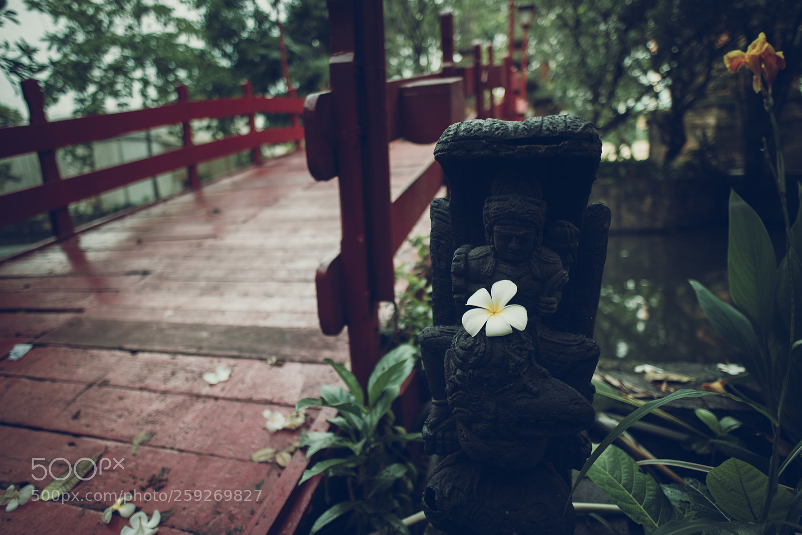Nikon D750 sample photo. Untitled photography