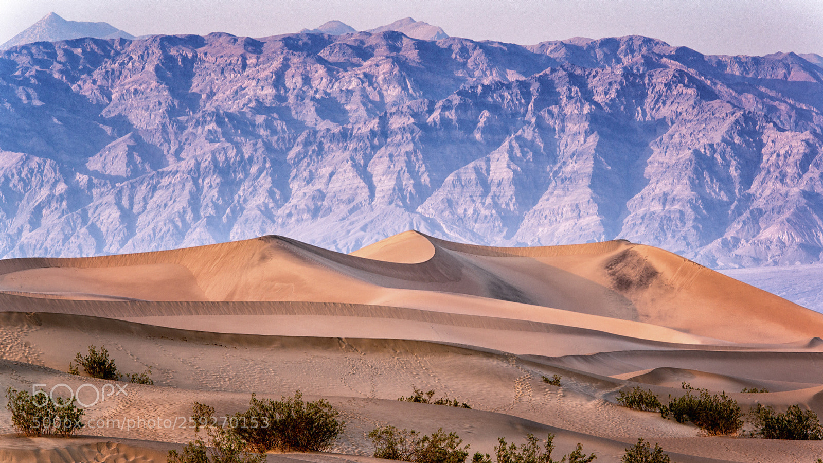 Nikon D800 sample photo. Mesquite flat sand dunes photography