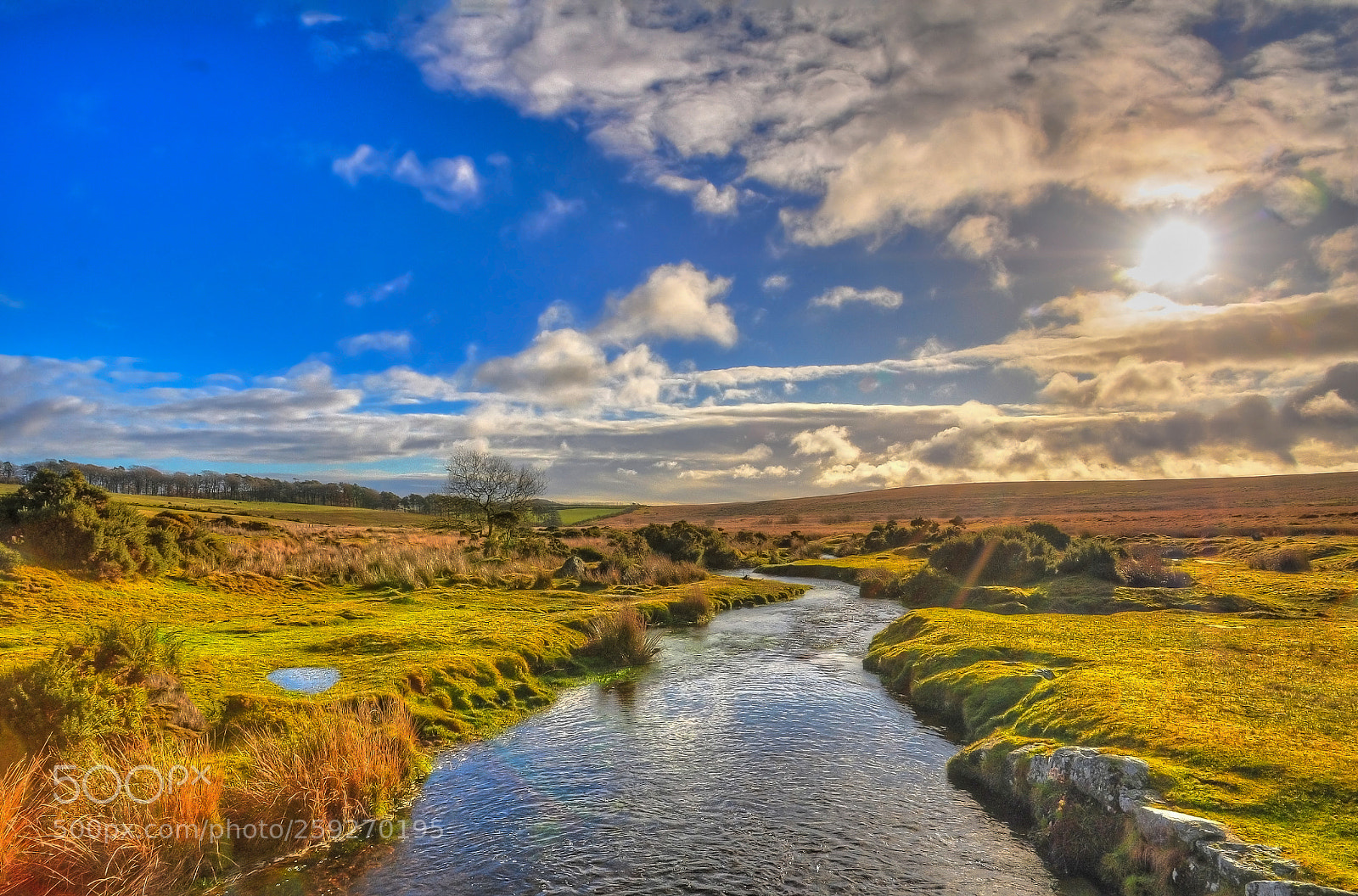 Nikon D5000 sample photo. Bellever, dartmoor photography