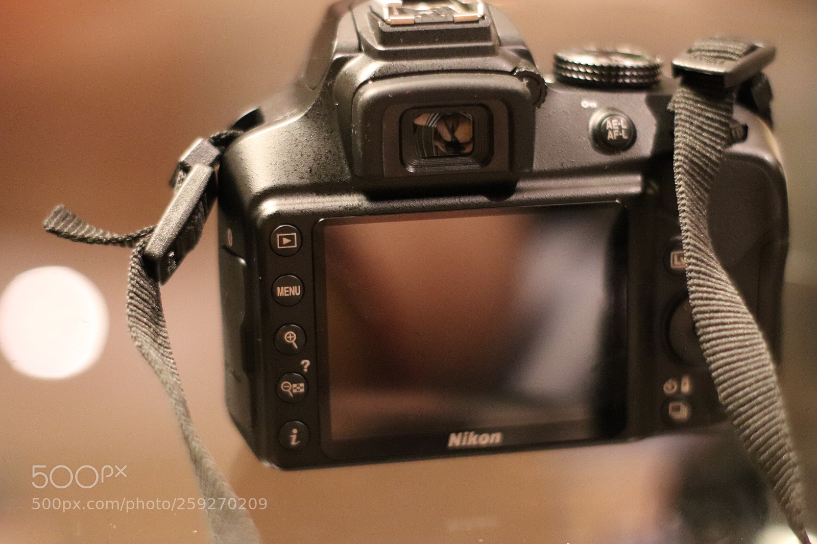 Canon EOS 800D (EOS Rebel T7i / EOS Kiss X9i) sample photo. One of my companion  photography