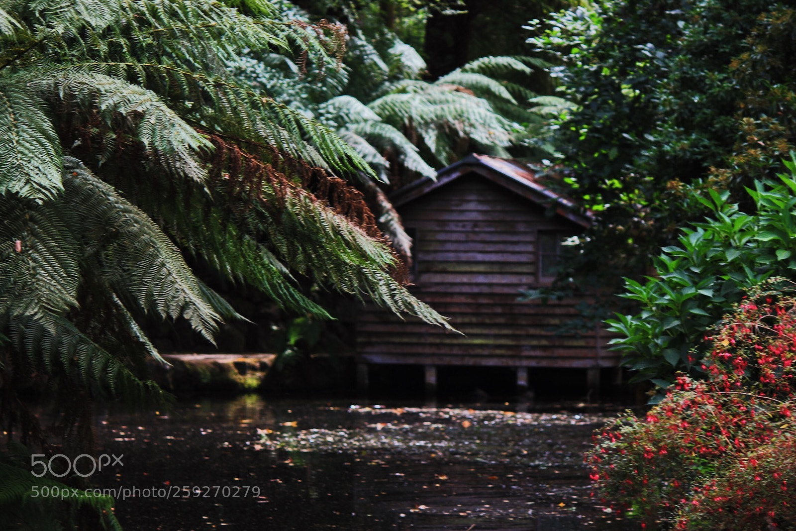 Canon EOS 550D (EOS Rebel T2i / EOS Kiss X4) sample photo. Alfred nicholas memorial gardens photography