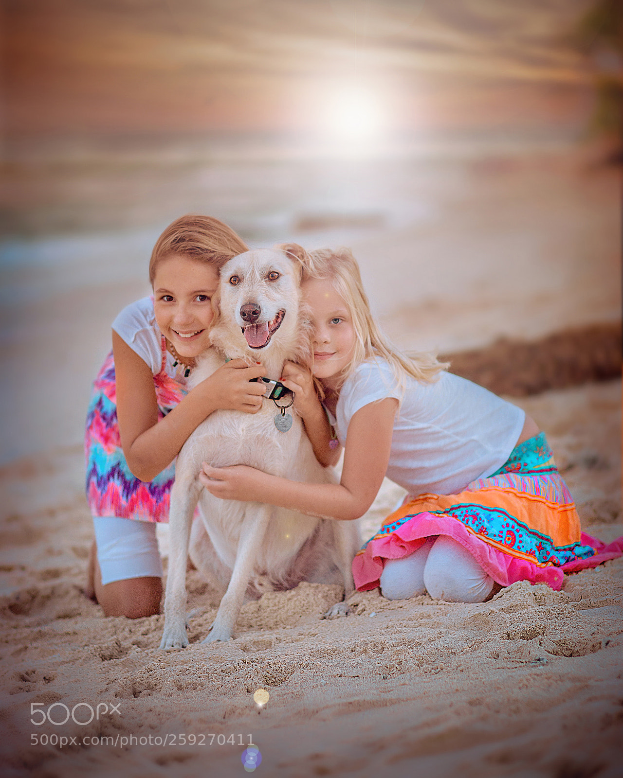 Canon EOS 6D sample photo. Buddie's buddies. photography