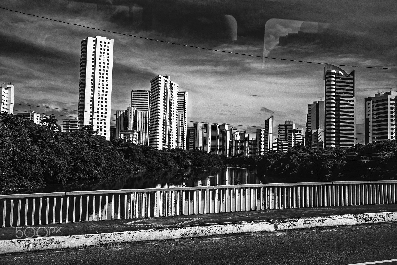 Leica M (Typ 240) sample photo. Capibaribe photography