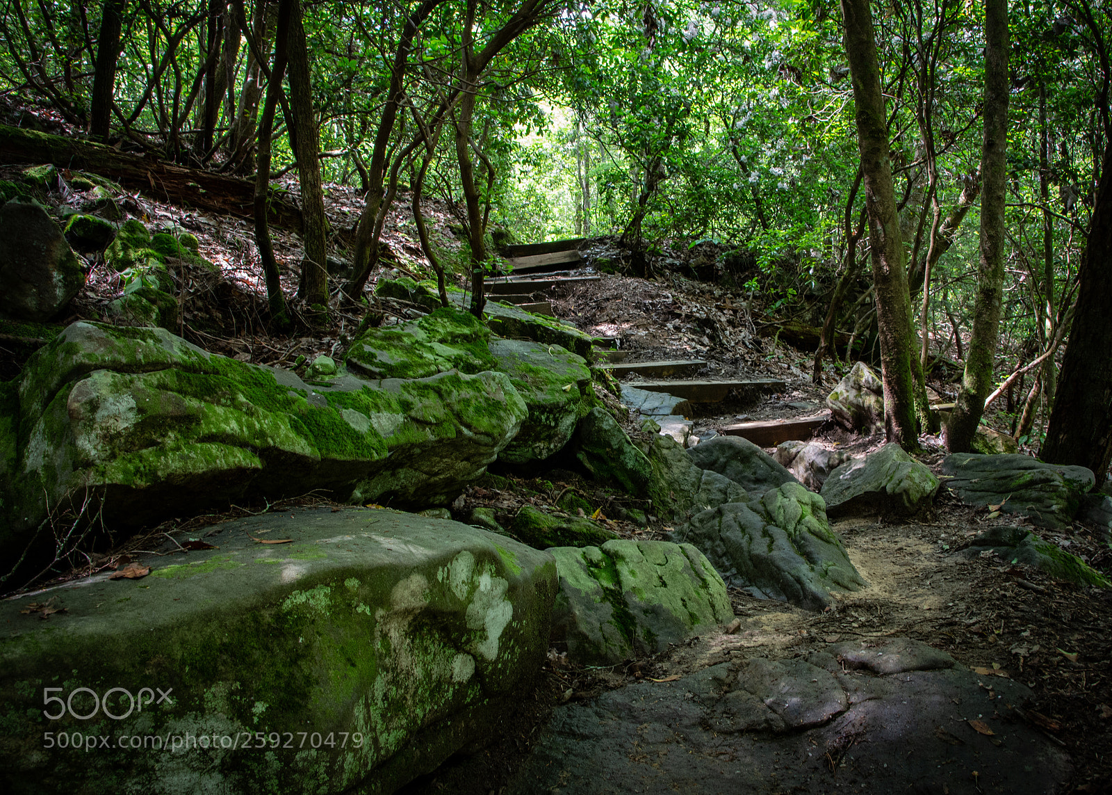 Nikon D7200 sample photo. The journey begins photography