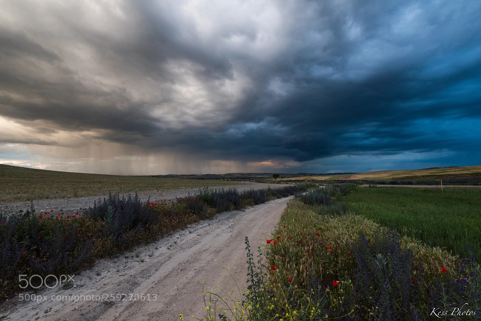Nikon D750 sample photo. Tormenta de verano photography