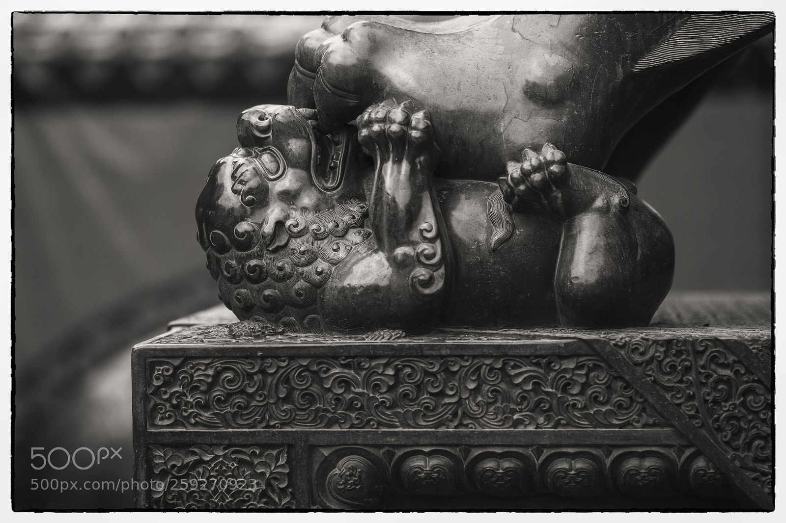 Fujifilm X-T2 sample photo. 嬉戏 photography