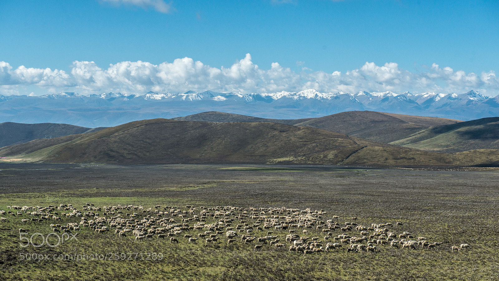 Nikon D800E sample photo. Plateau scenery photography