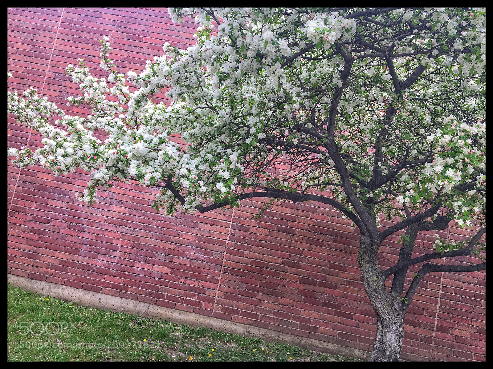 Apple iPhone 6s sample photo. Sideways photography