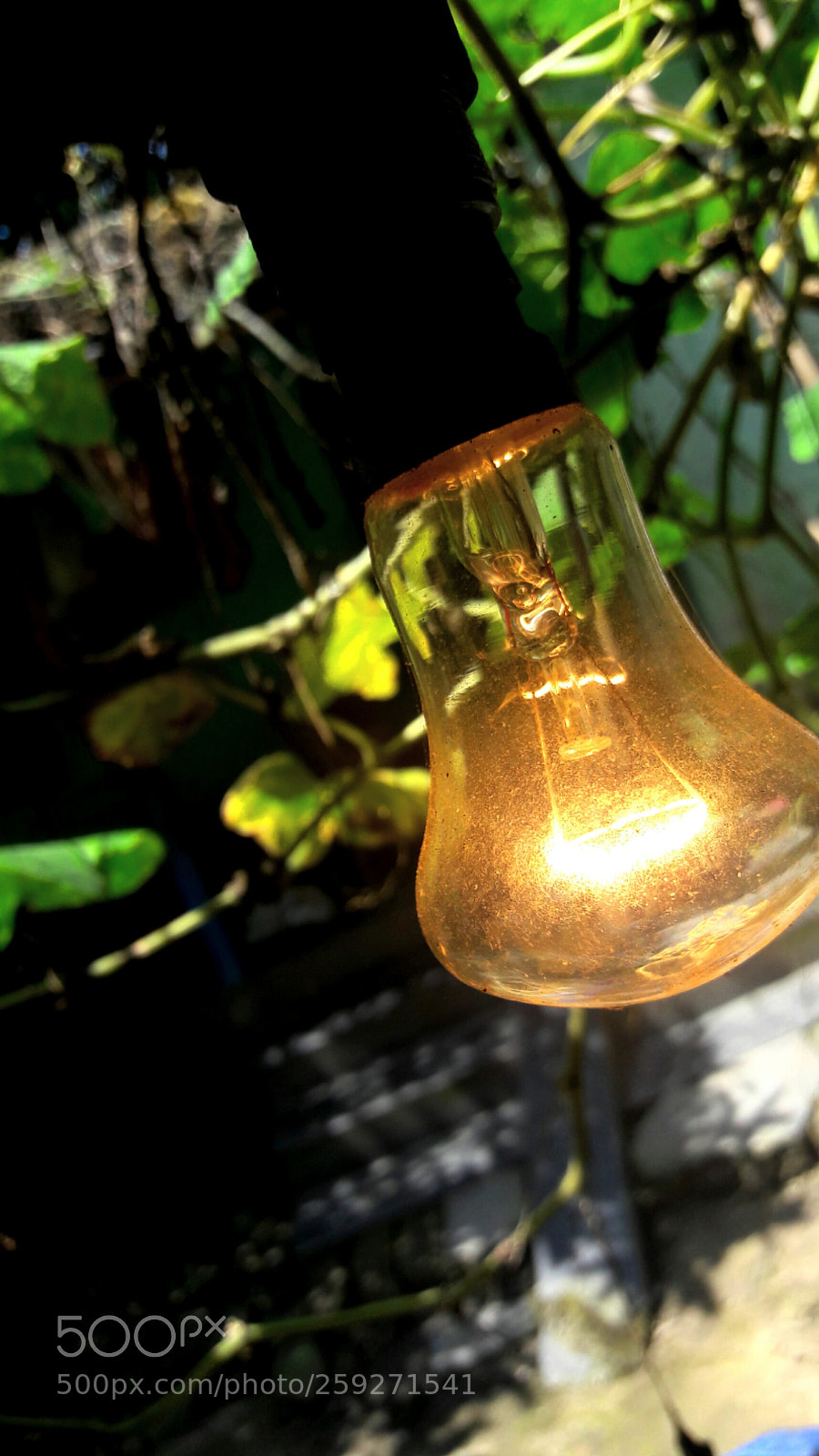 Samsung Galaxy J7 sample photo. Mobile photography photography