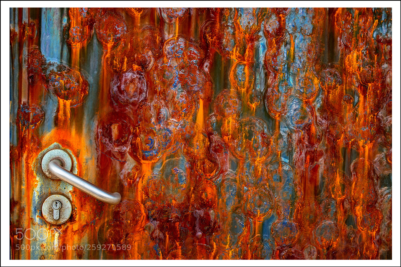 Nikon D5600 sample photo. Rusty door photography
