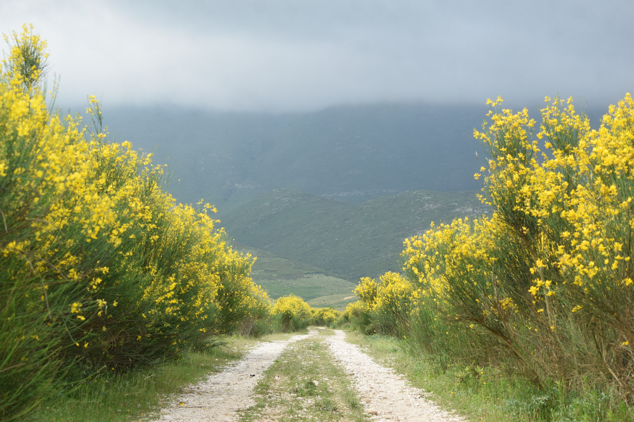 Nikon D5300 sample photo. Away in the mountains photography