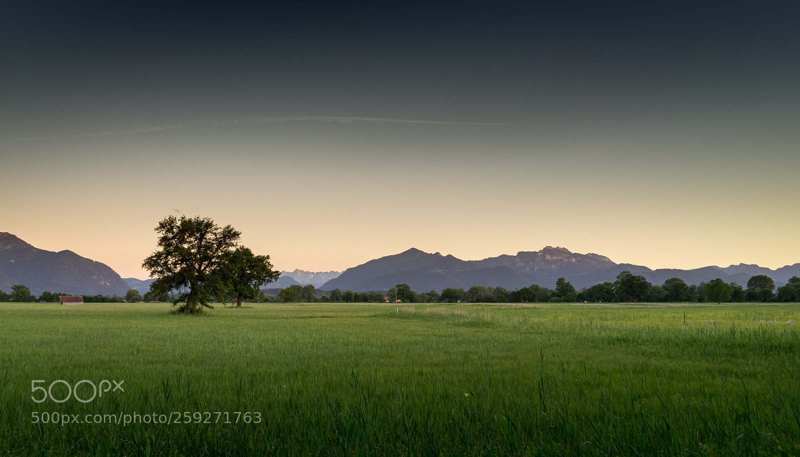 Sony a7 II sample photo. Lachsgang sunset stroll photography