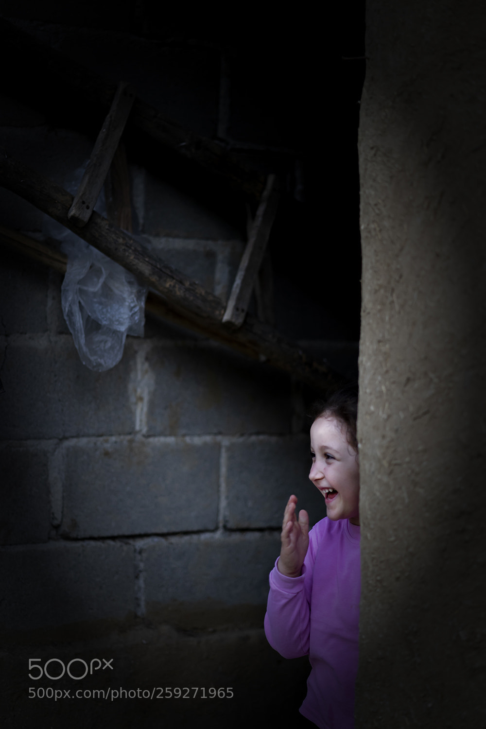 Sony a7 II sample photo. Untitled photography