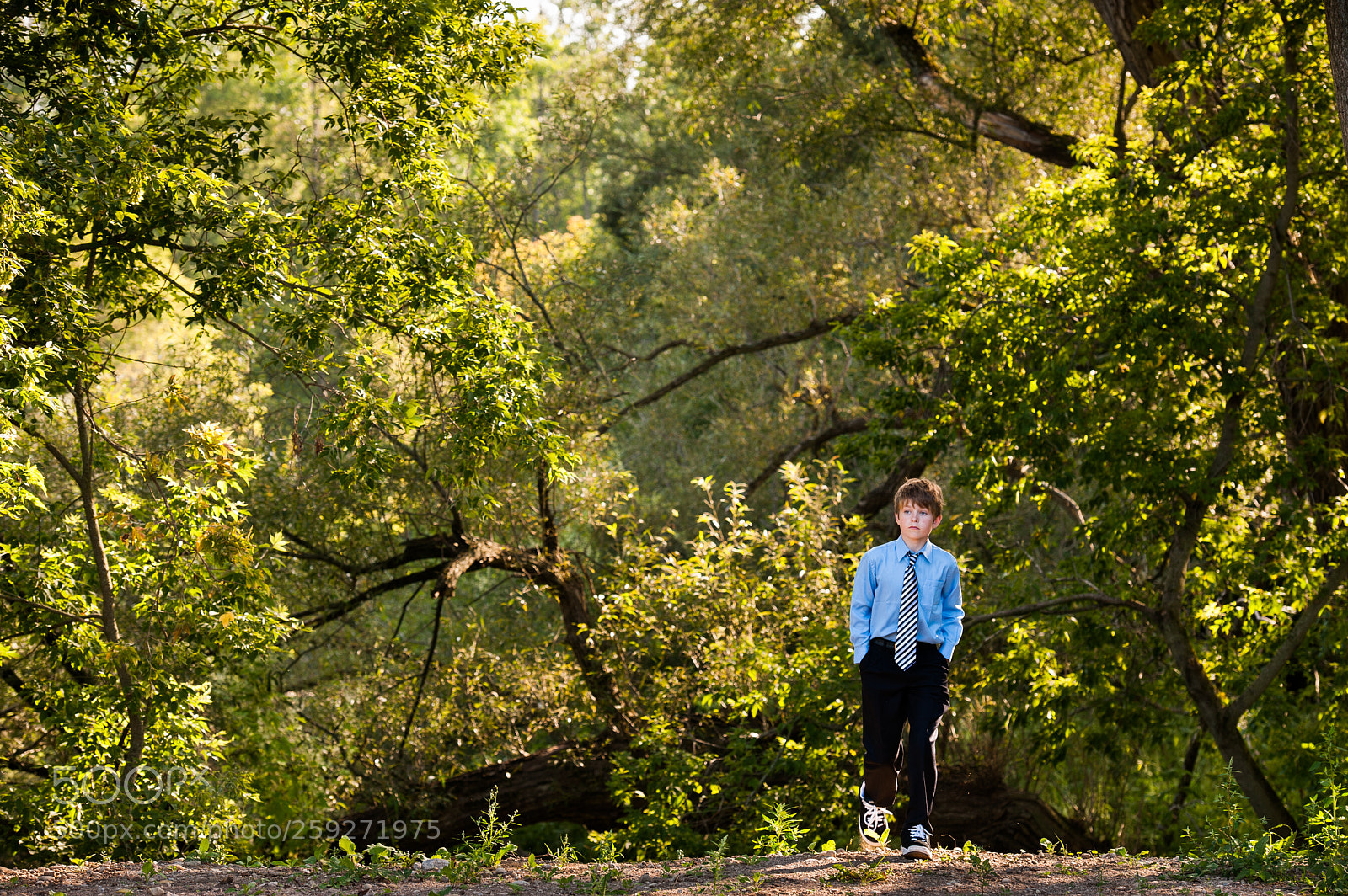 Nikon D700 sample photo. Portrait of a boy photography