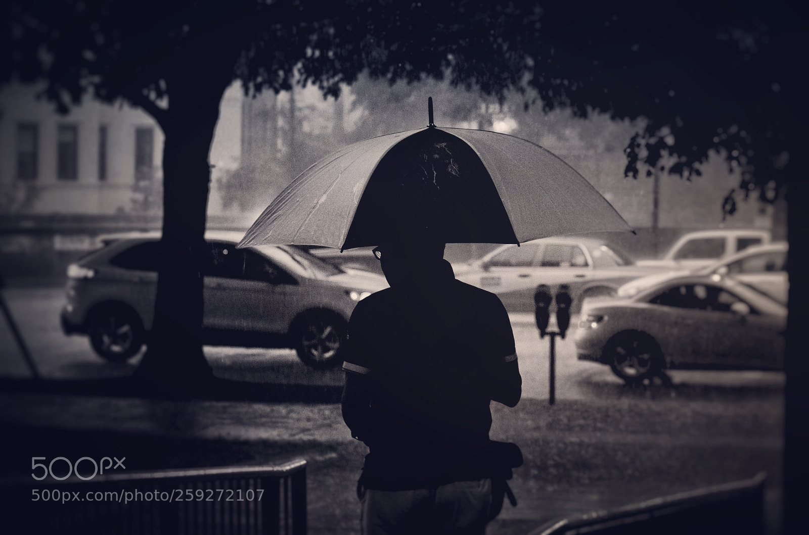 Nikon D7000 sample photo. Rainy washington days photography