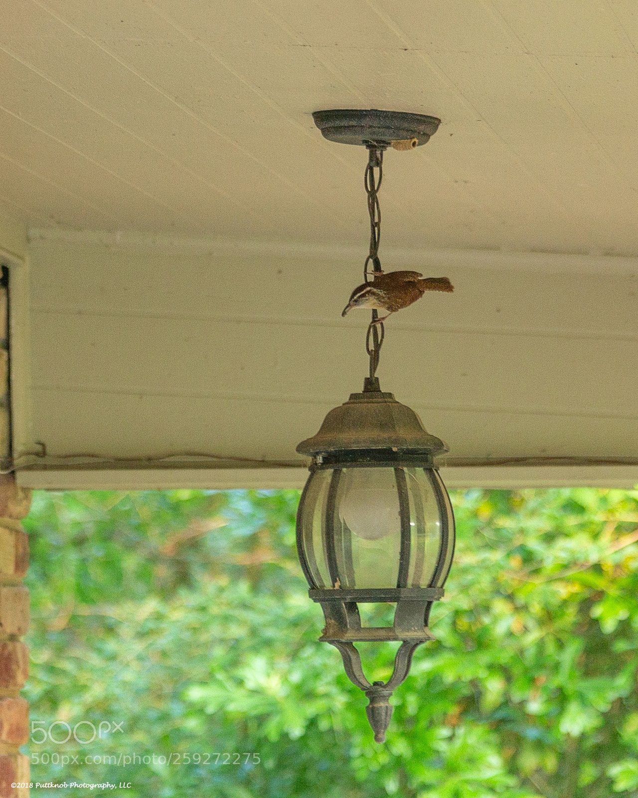 Canon EOS 6D sample photo. Lunch a not happy photography