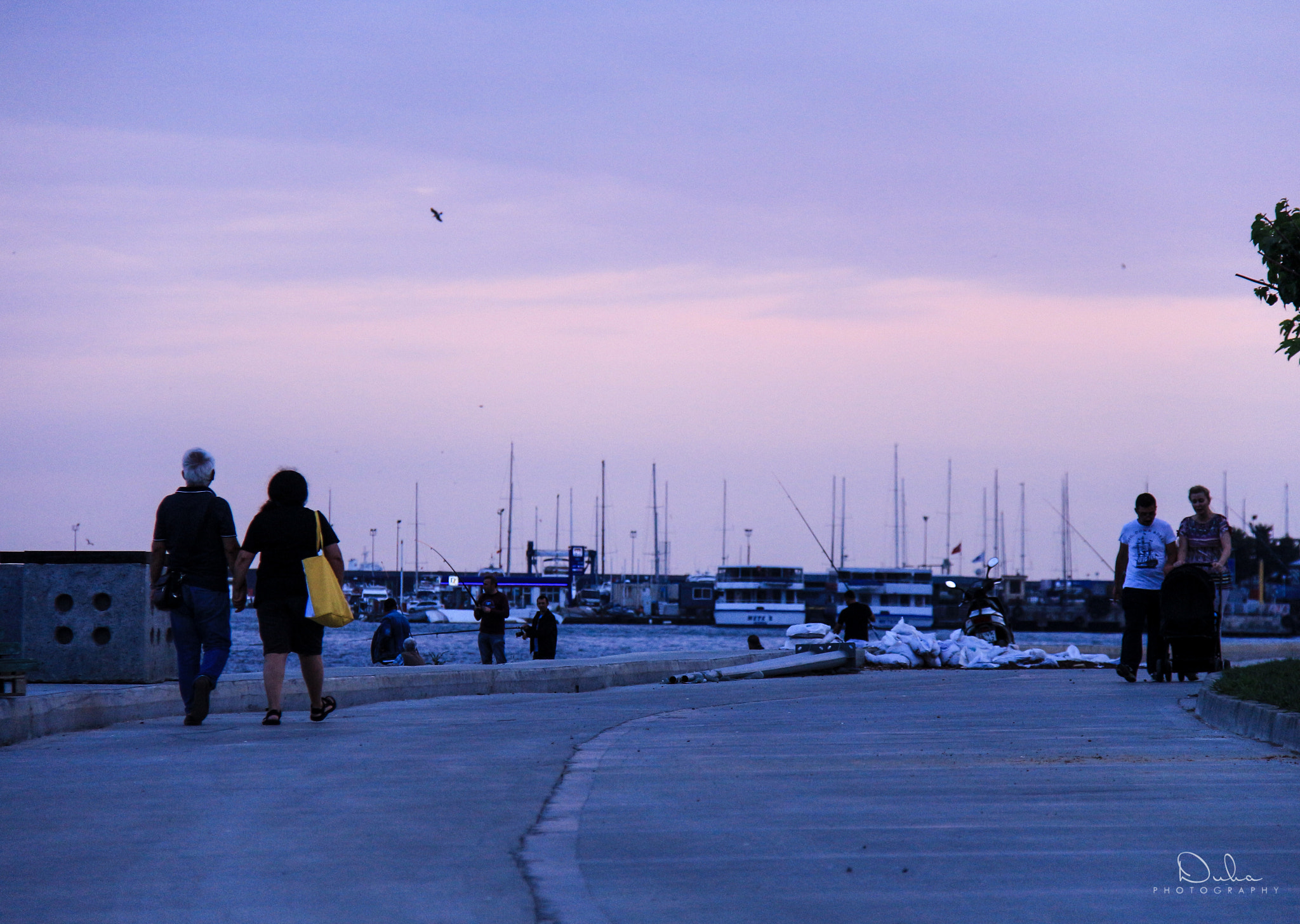 Canon EOS 650D (EOS Rebel T4i / EOS Kiss X6i) sample photo. Let's take a walk photography