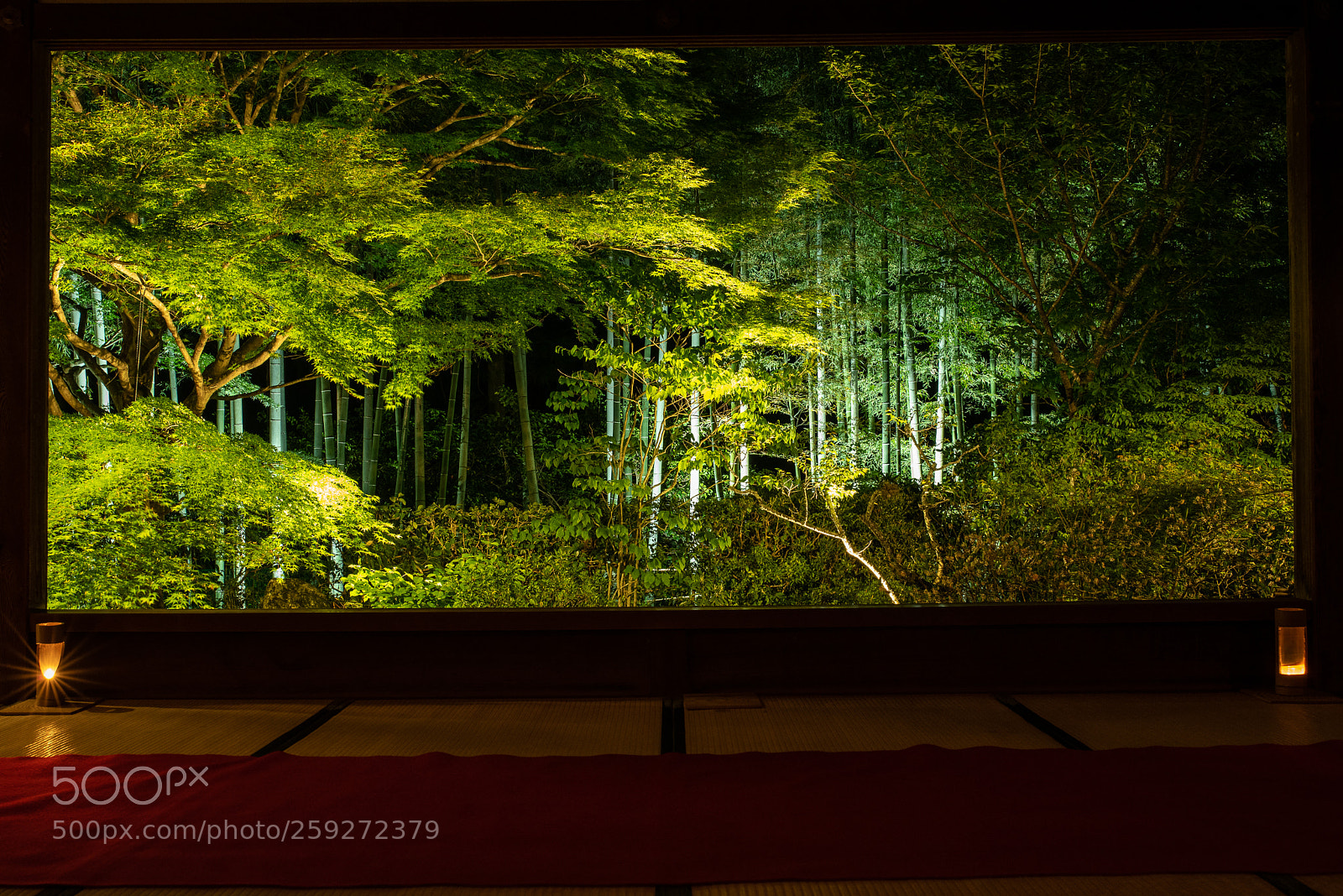 Nikon D750 sample photo. Japanese garden with bamboo photography