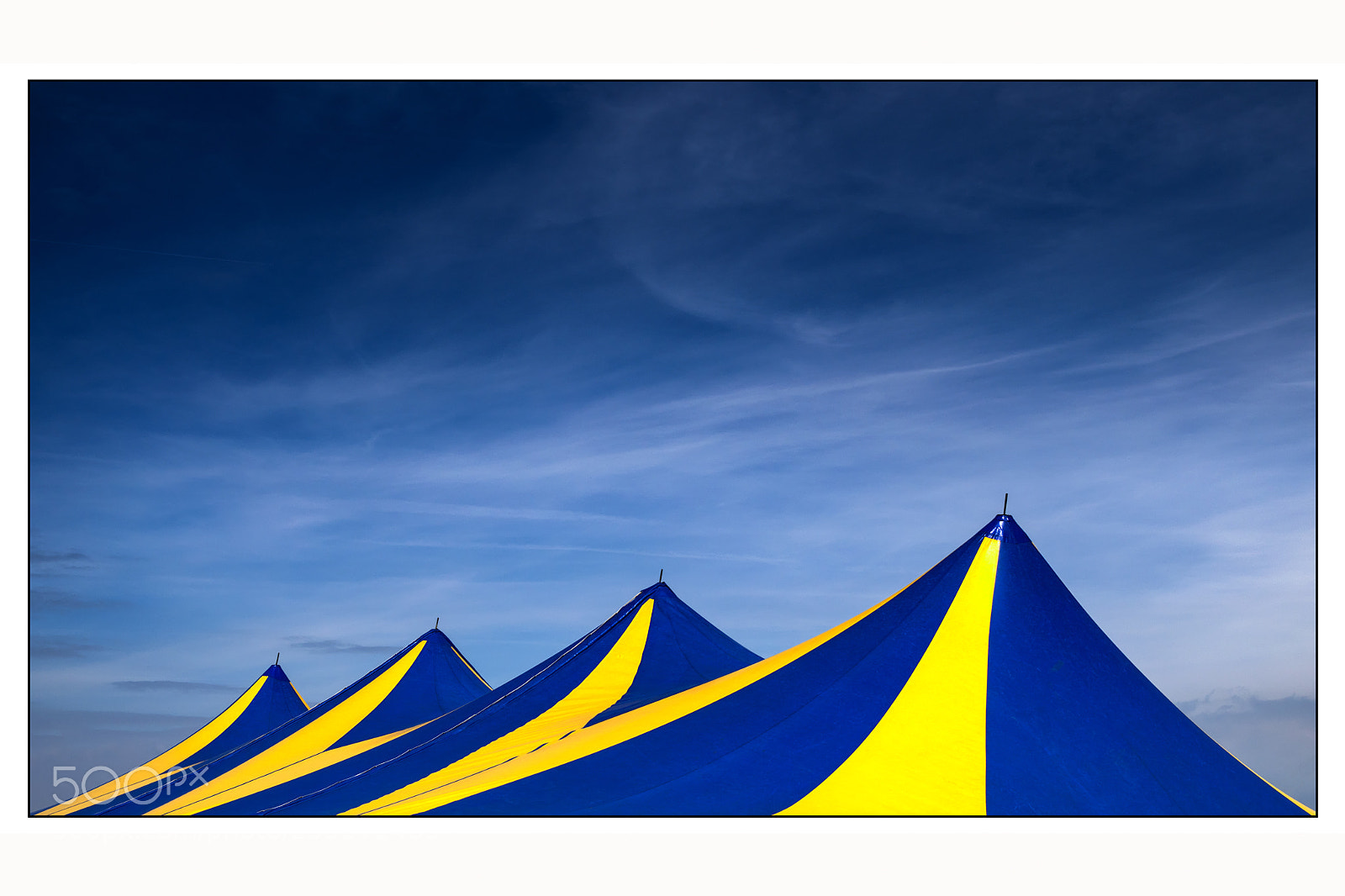 Nikon D5600 sample photo. Circus tops photography
